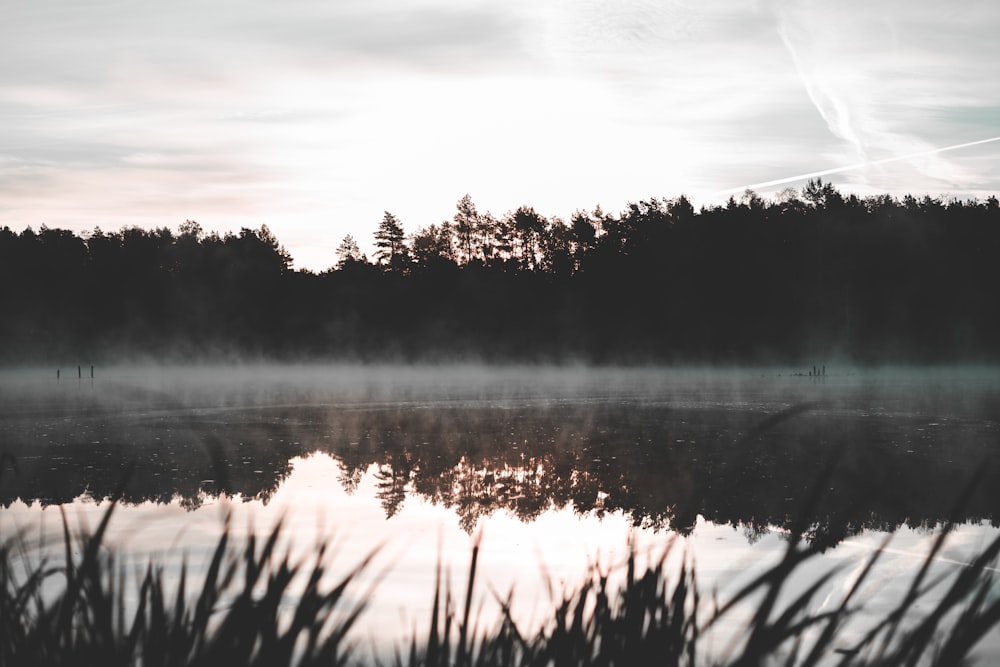 body of water near trees during daytime