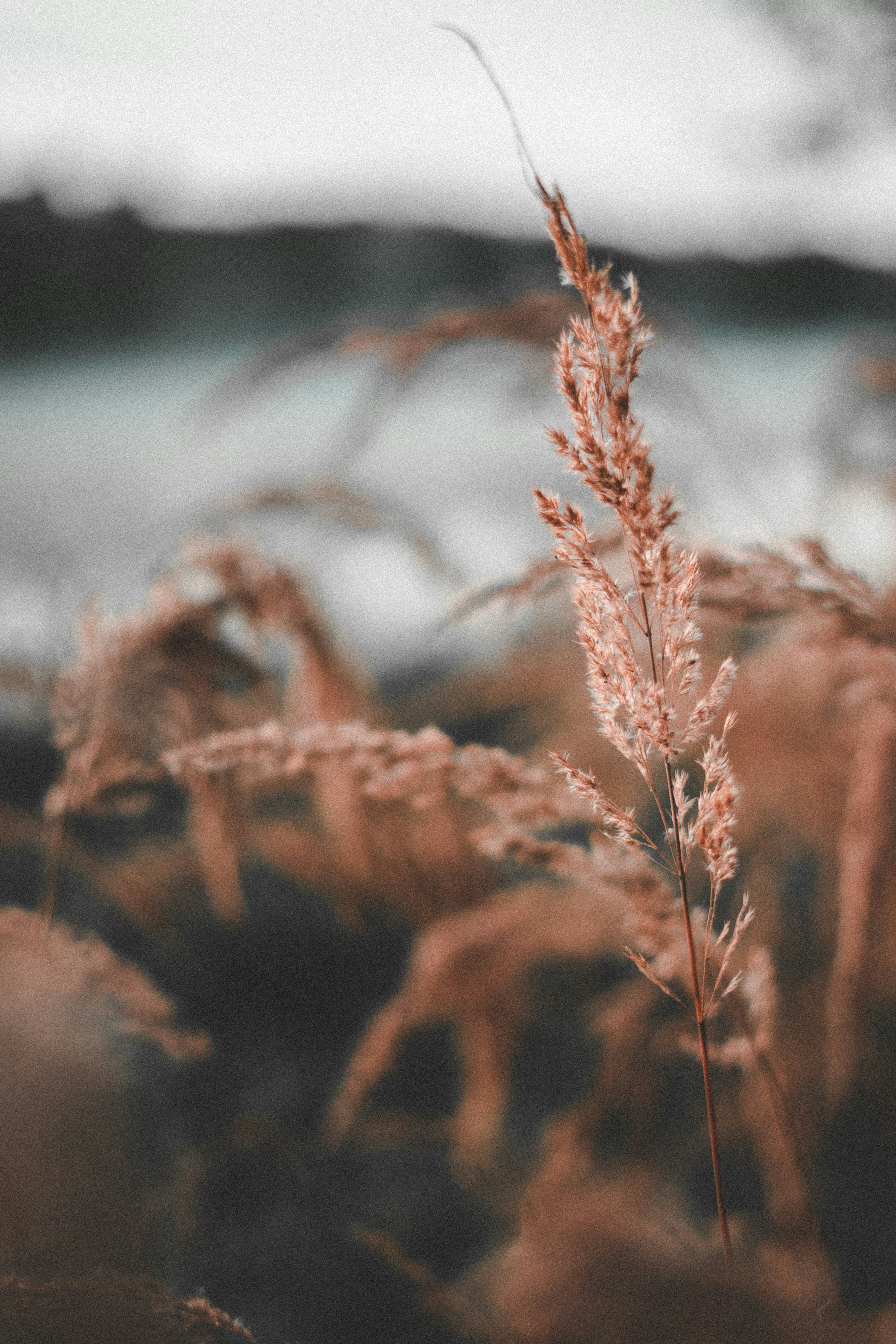 Photo by gregory_rak