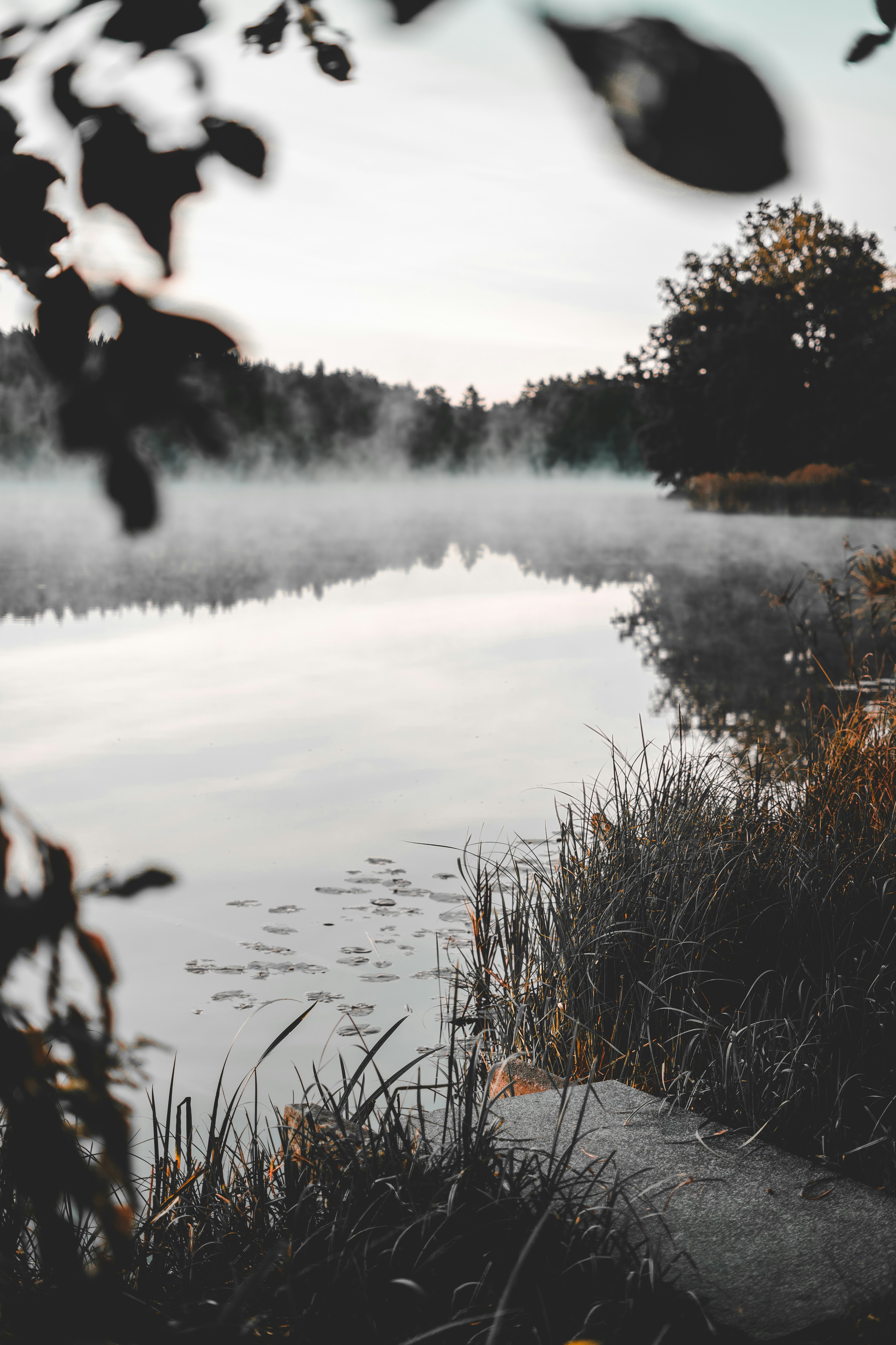 Photo by gregory_rak