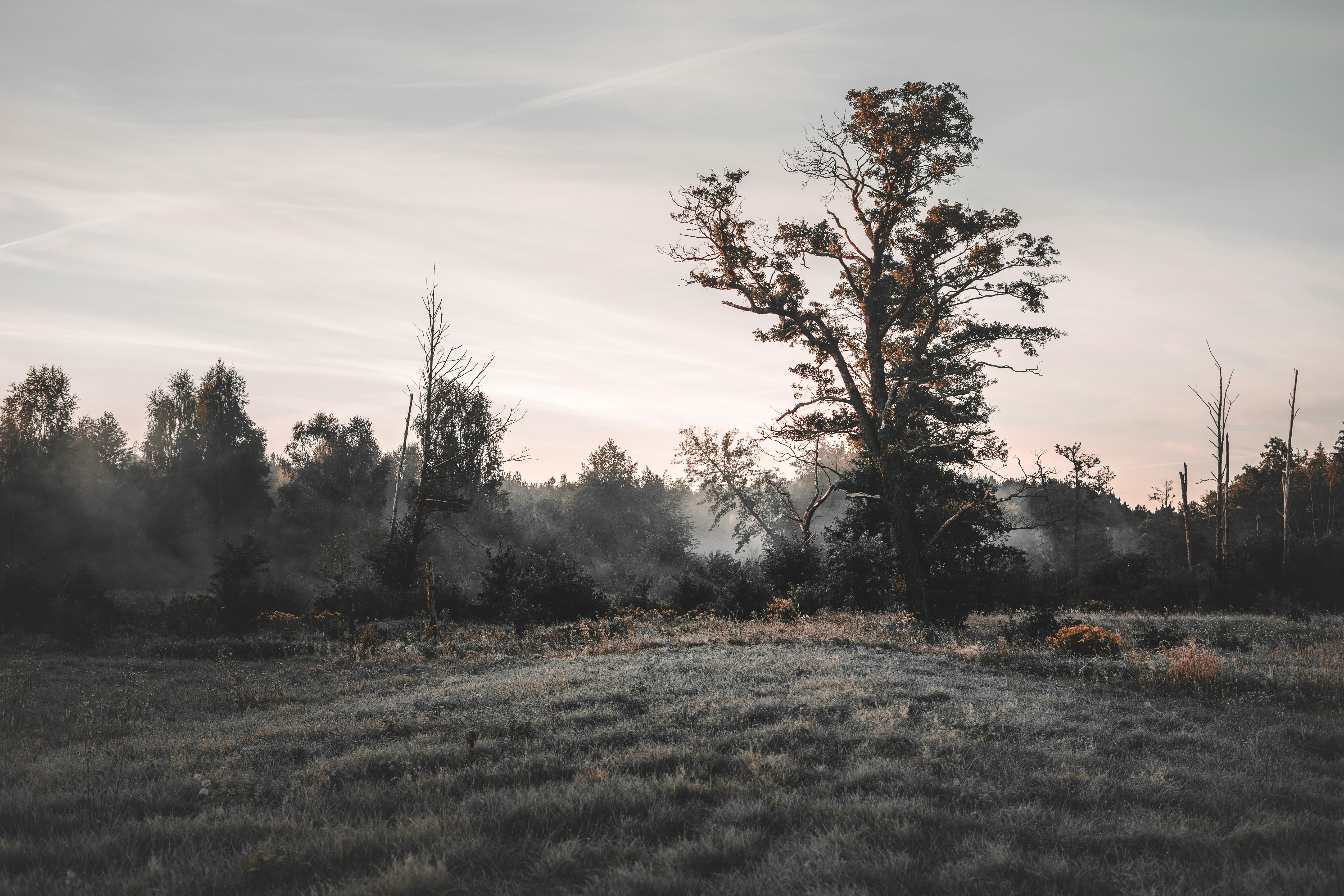 Photo by gregory_rak