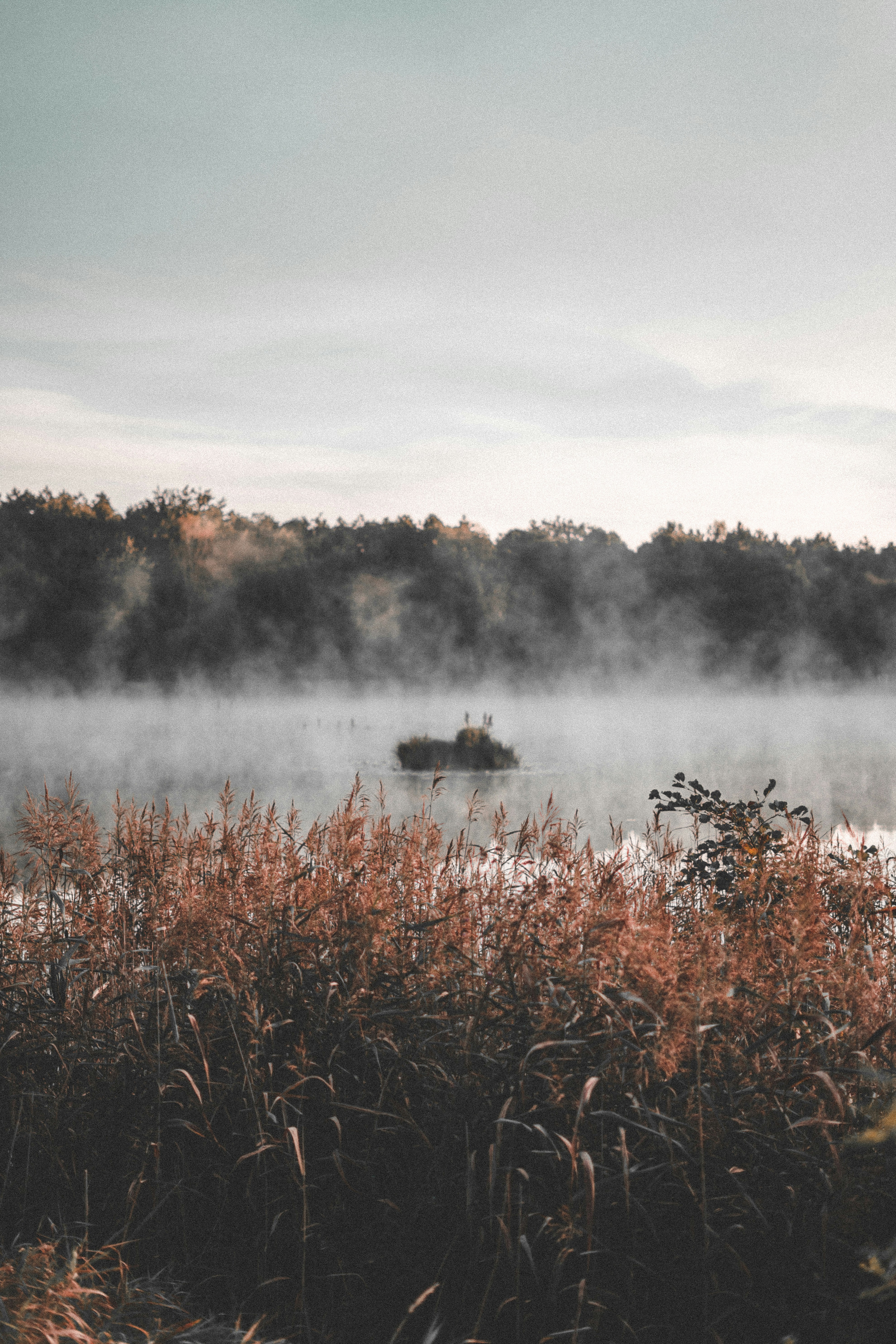 Photo by gregory_rak