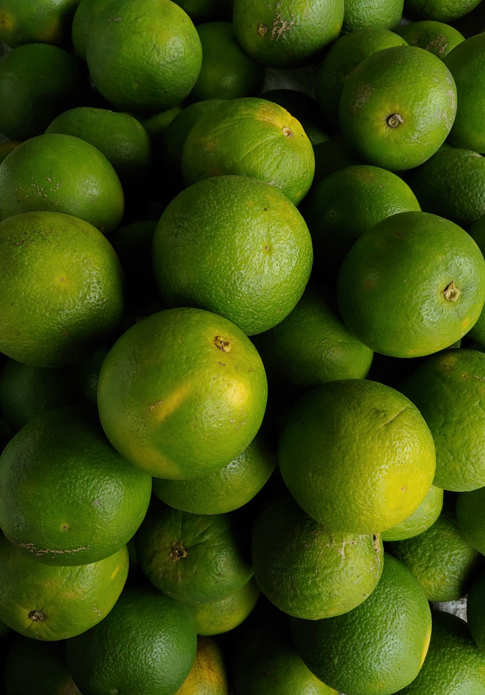 close up photo of green citrus fruits