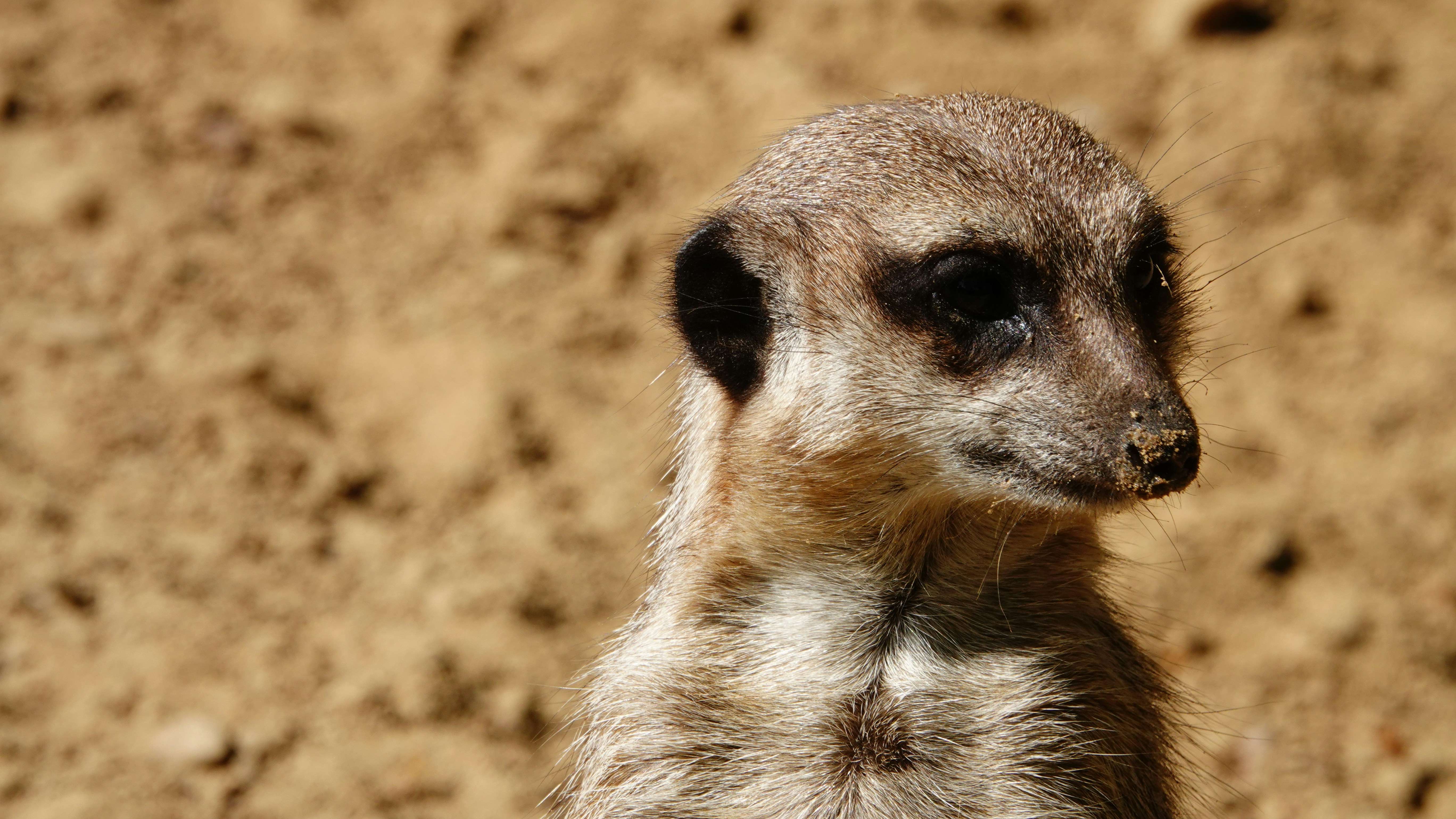 Photo by hooverpaul55