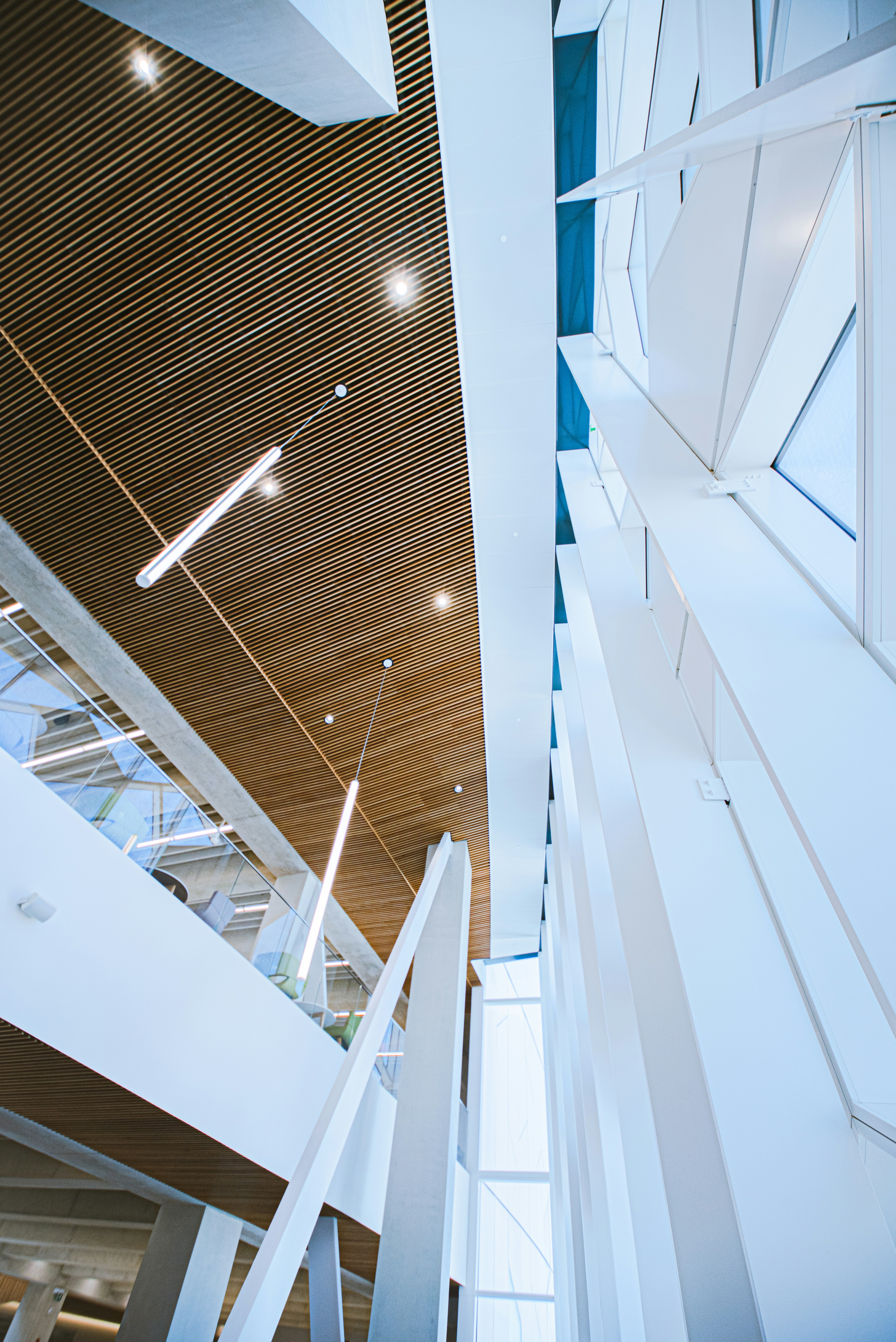 Photo by ryunosuke_kikuno