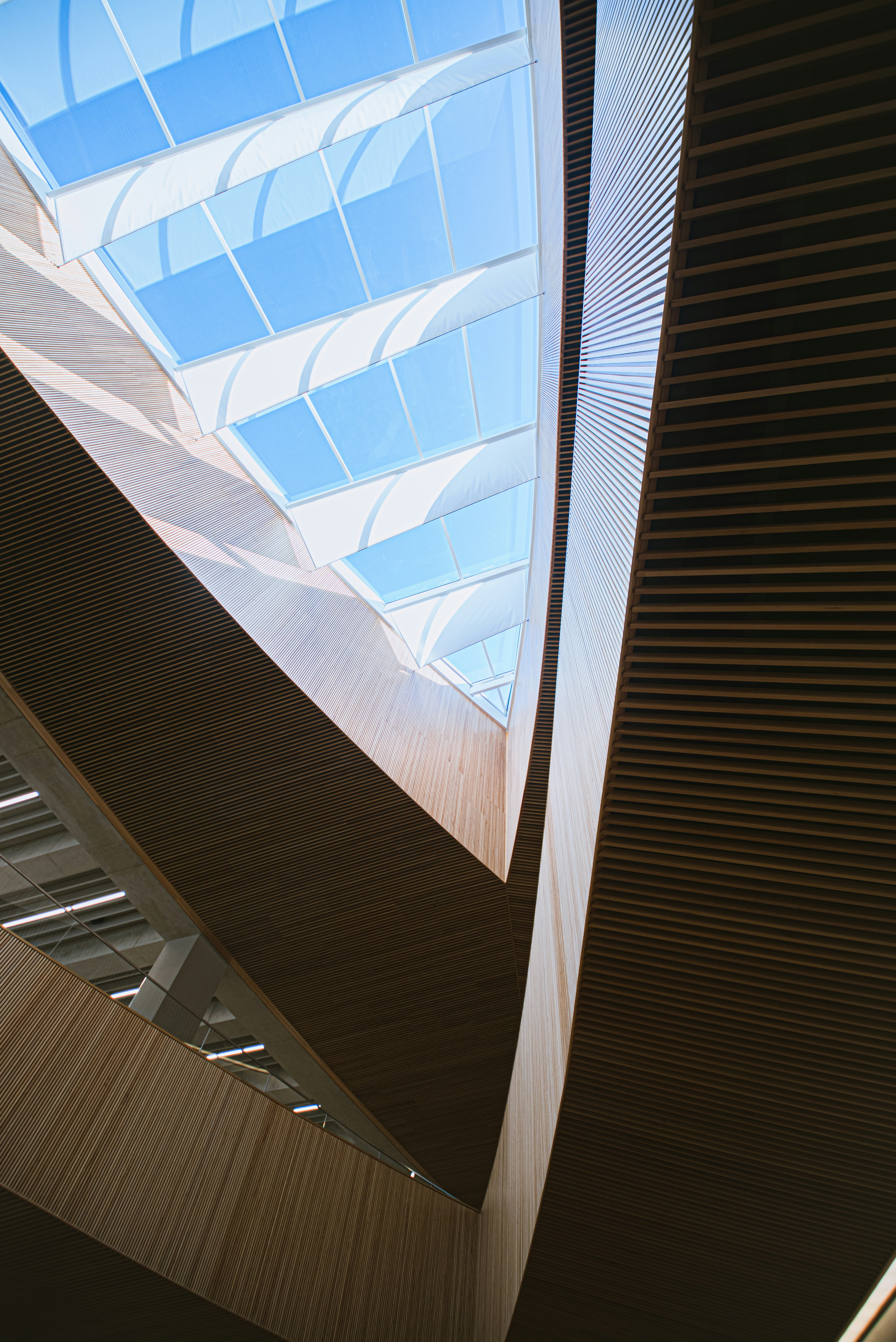 Photo by ryunosuke_kikuno