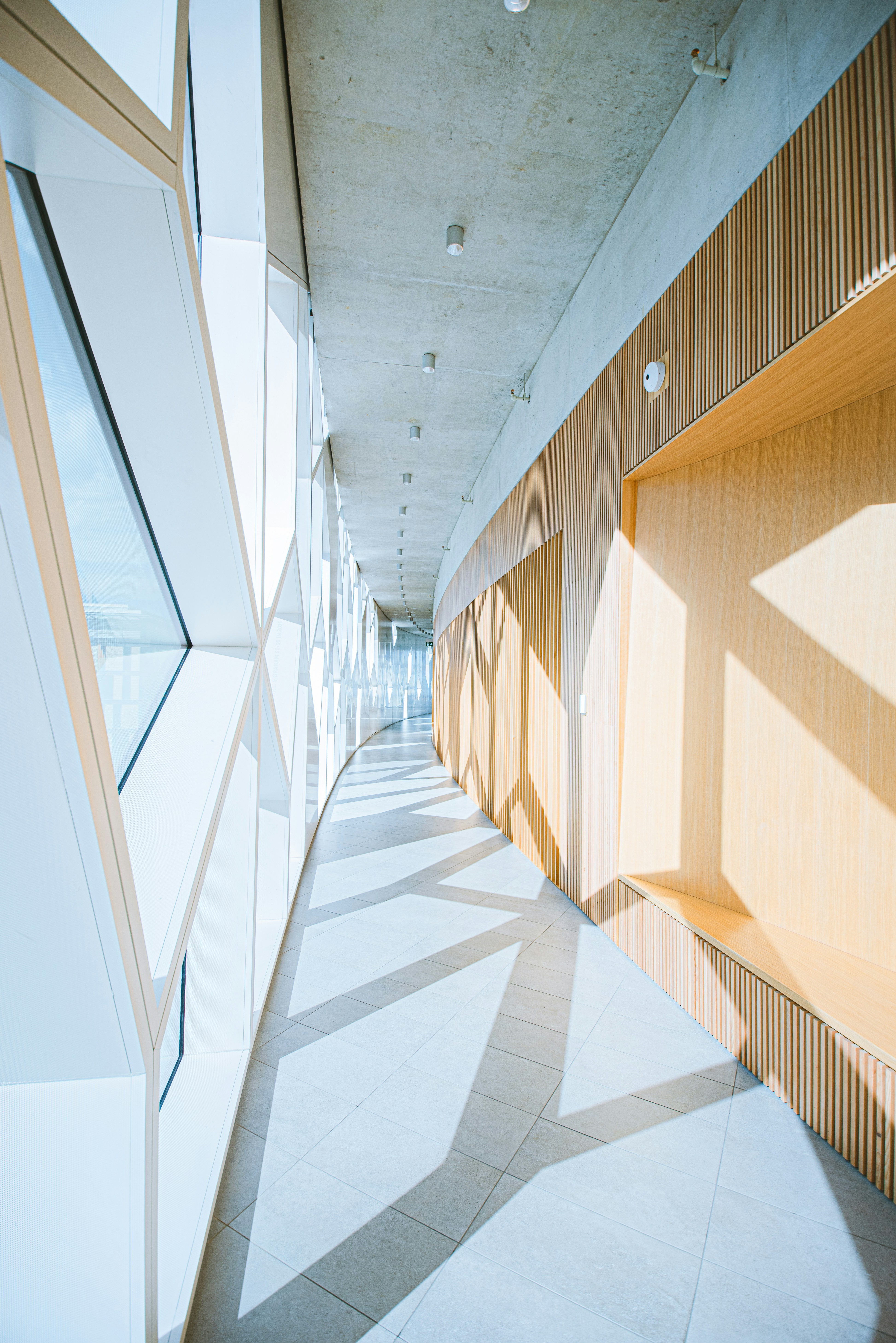 Photo by ryunosuke_kikuno