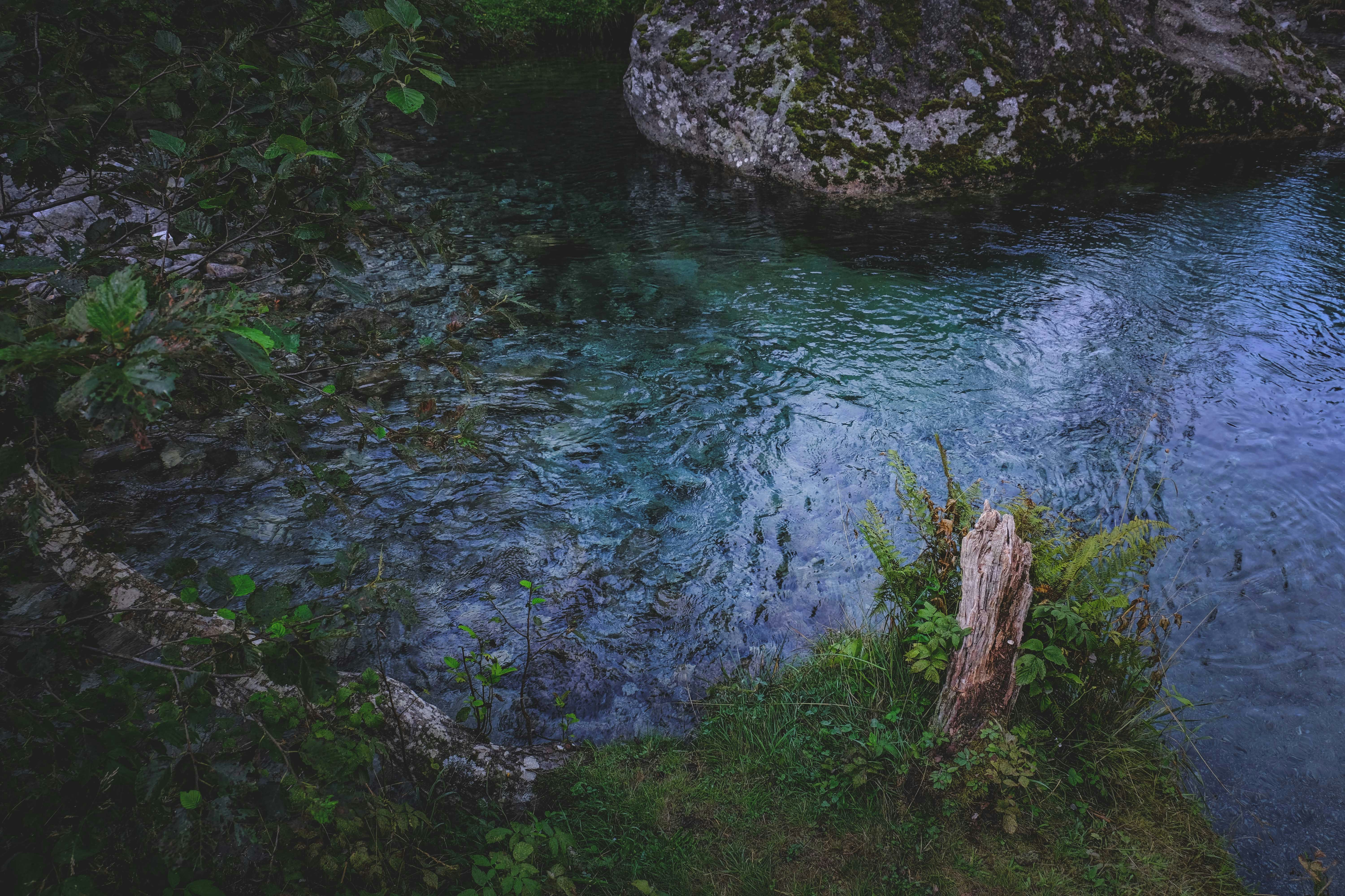 Photo by francesco_ungaro