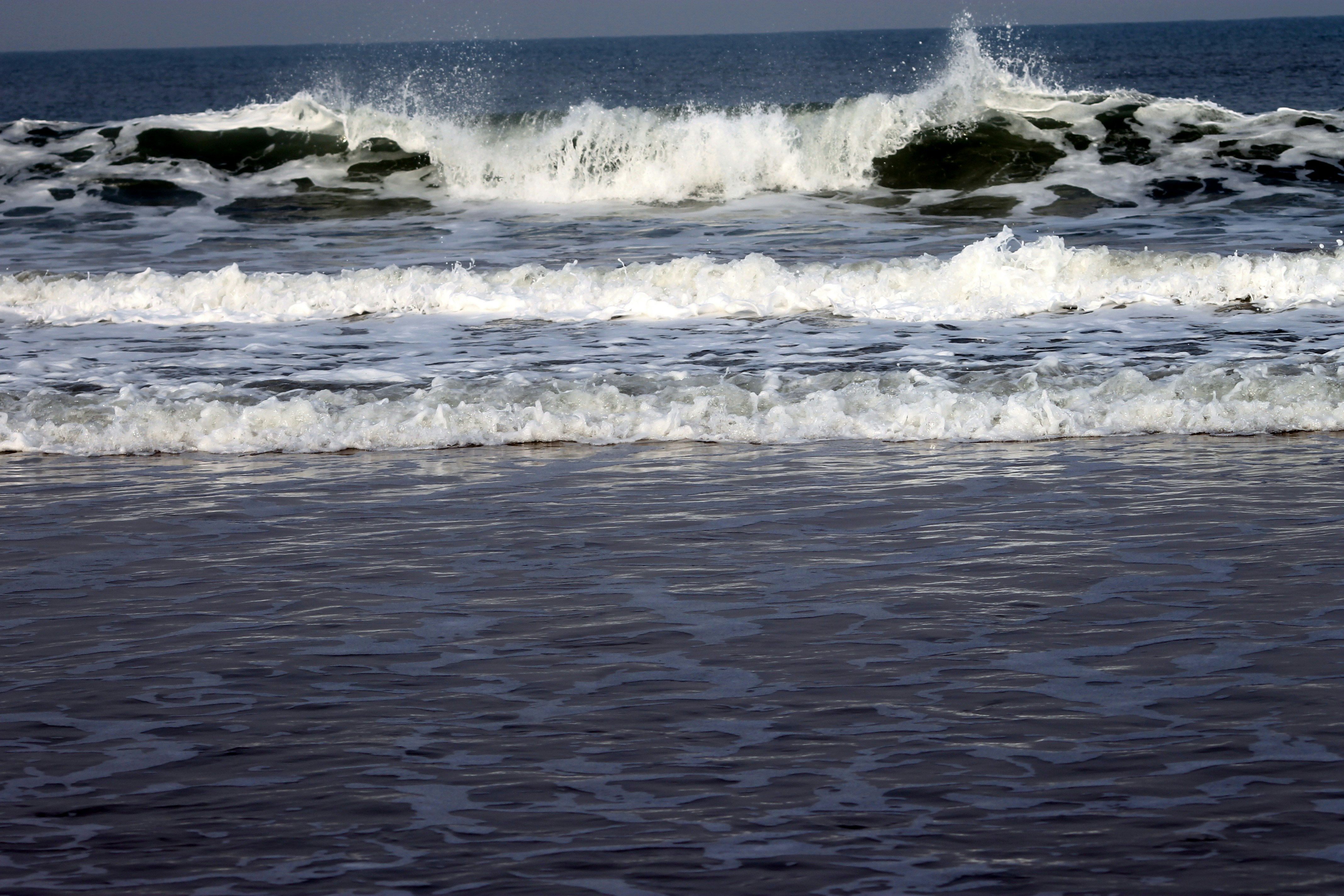 Photo by vijay_kumar_gaba