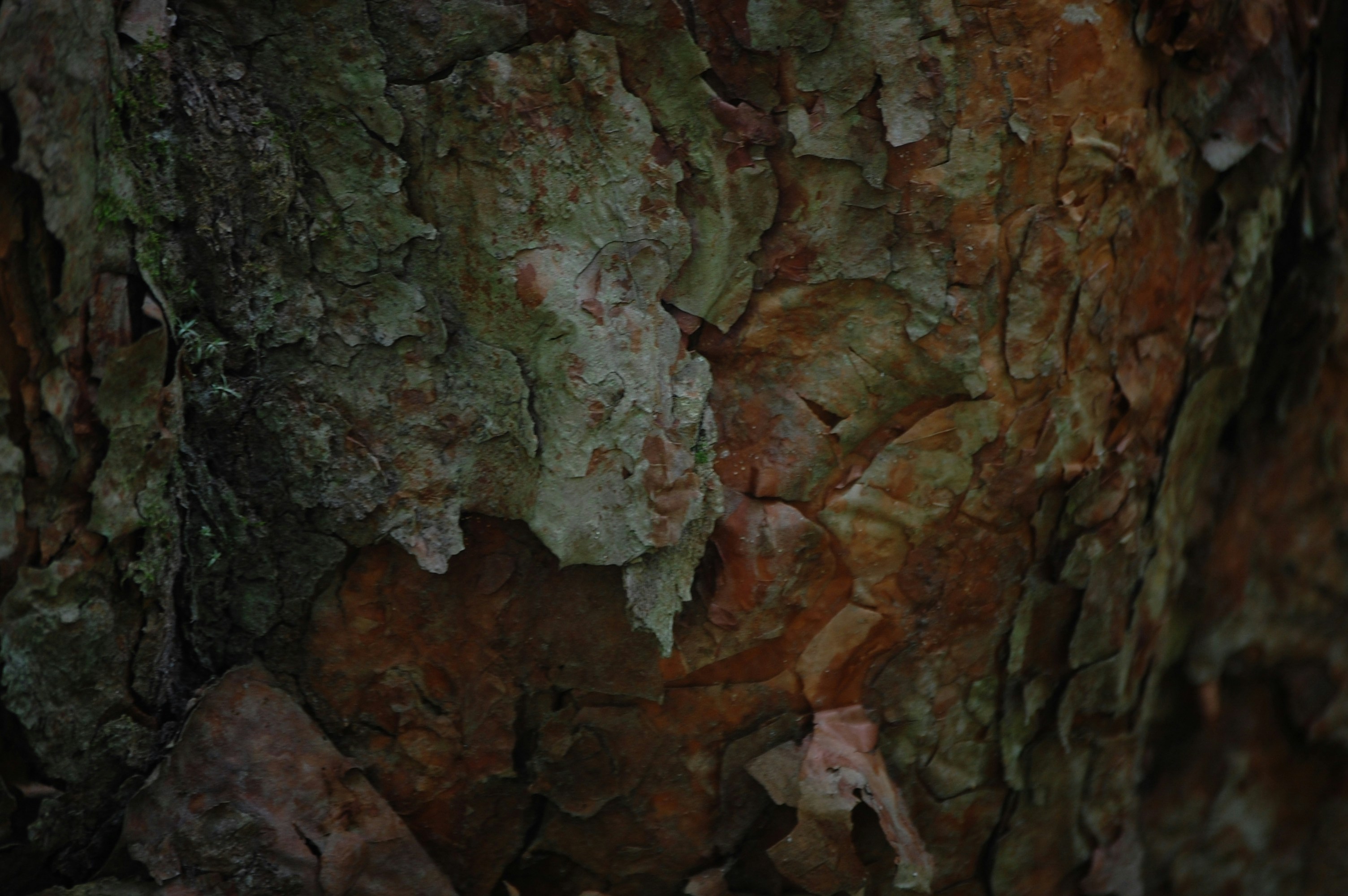 Photo by iam_estefaniav