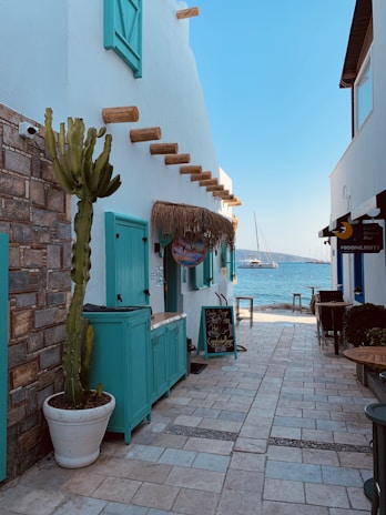 A narrow cobblestone alleyway leads to a view of the sea. The buildings have white walls with vibrant turquoise shutters and doors, and a thatched awning is seen on the left. A tall cactus in a pot decorates the area alongside outdoor seating and a small table with a menu board. In the distance, sailboats can be seen on the calm water.