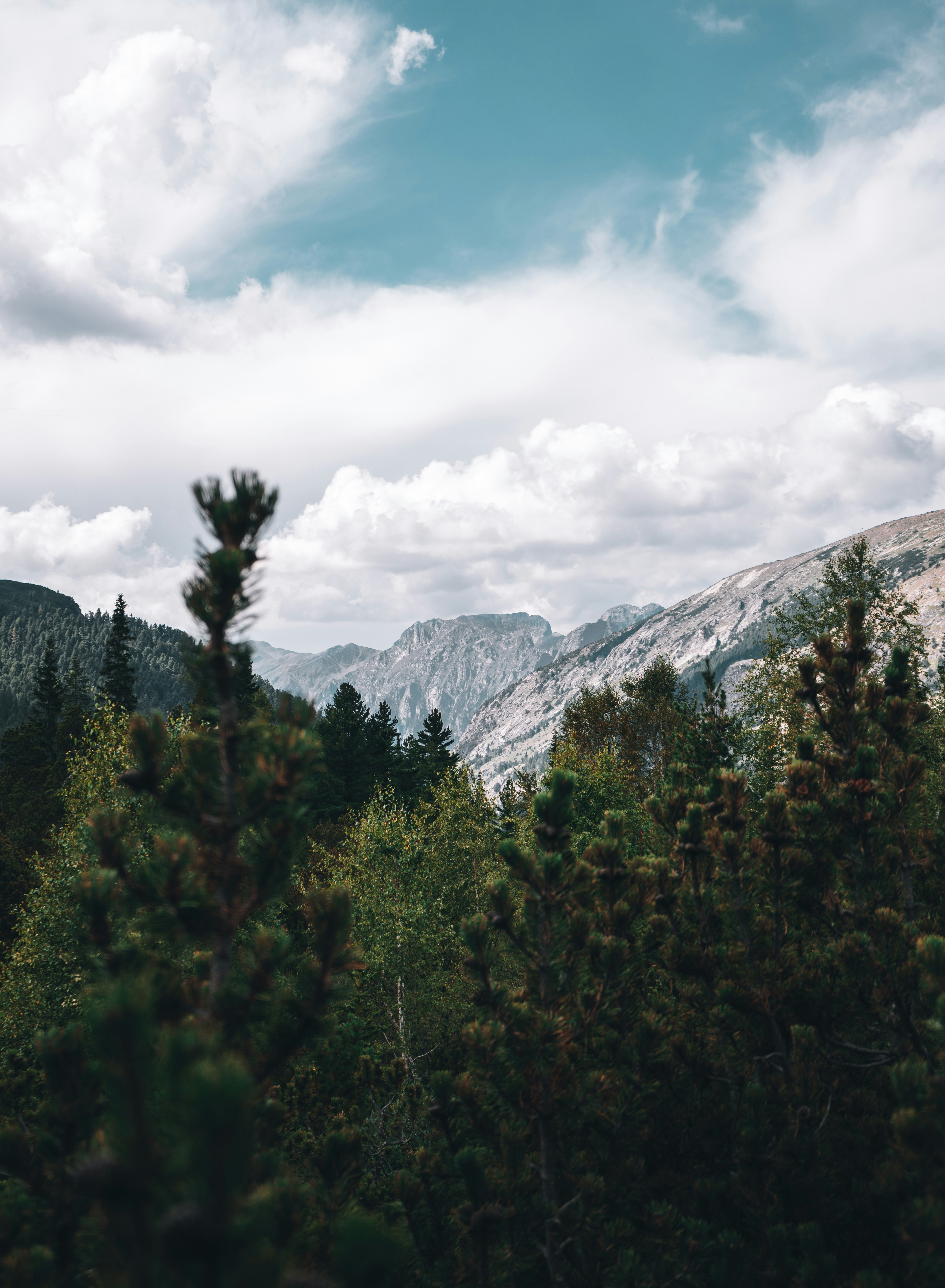 Photo by zhivkokalinov