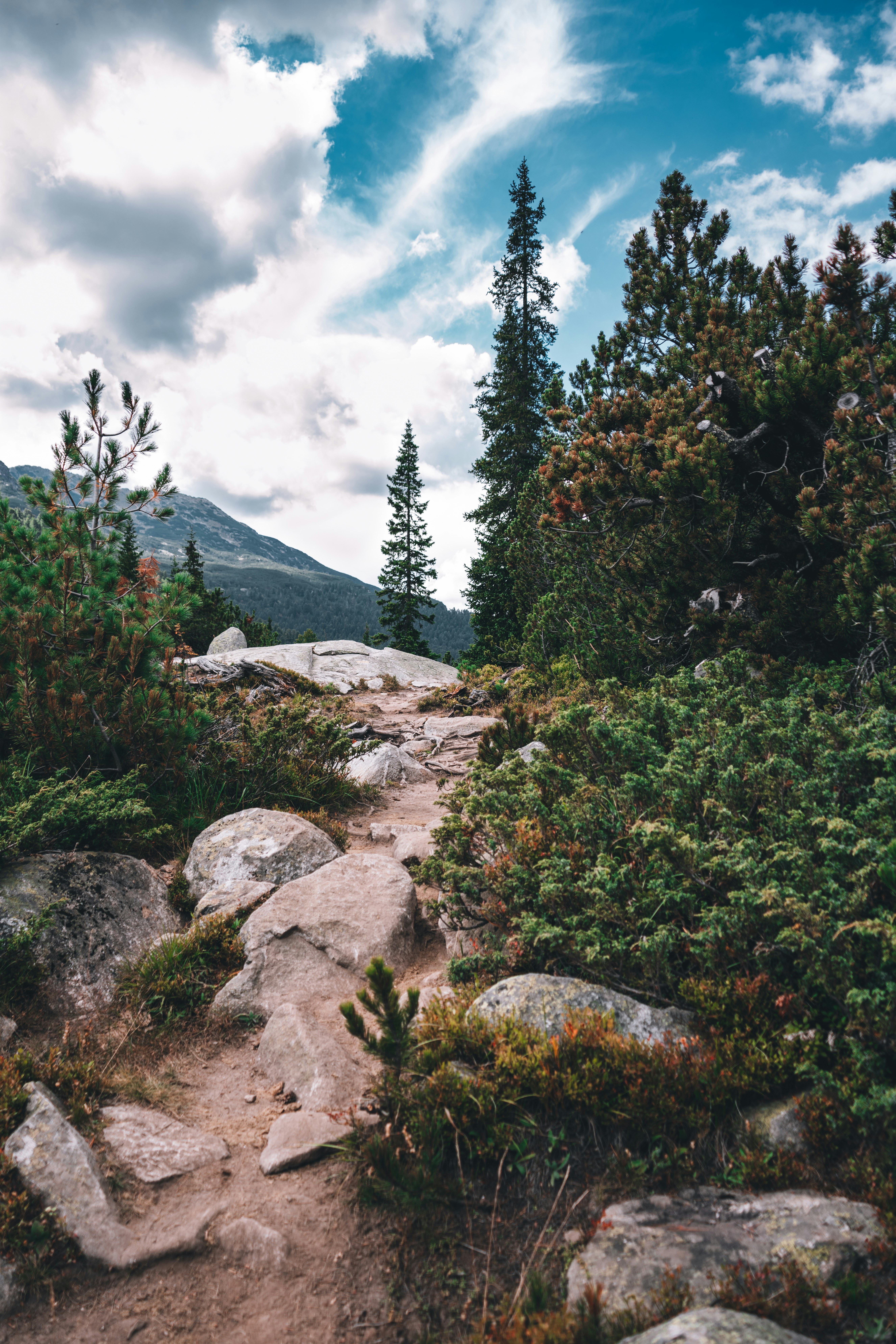 Photo by zhivkokalinov