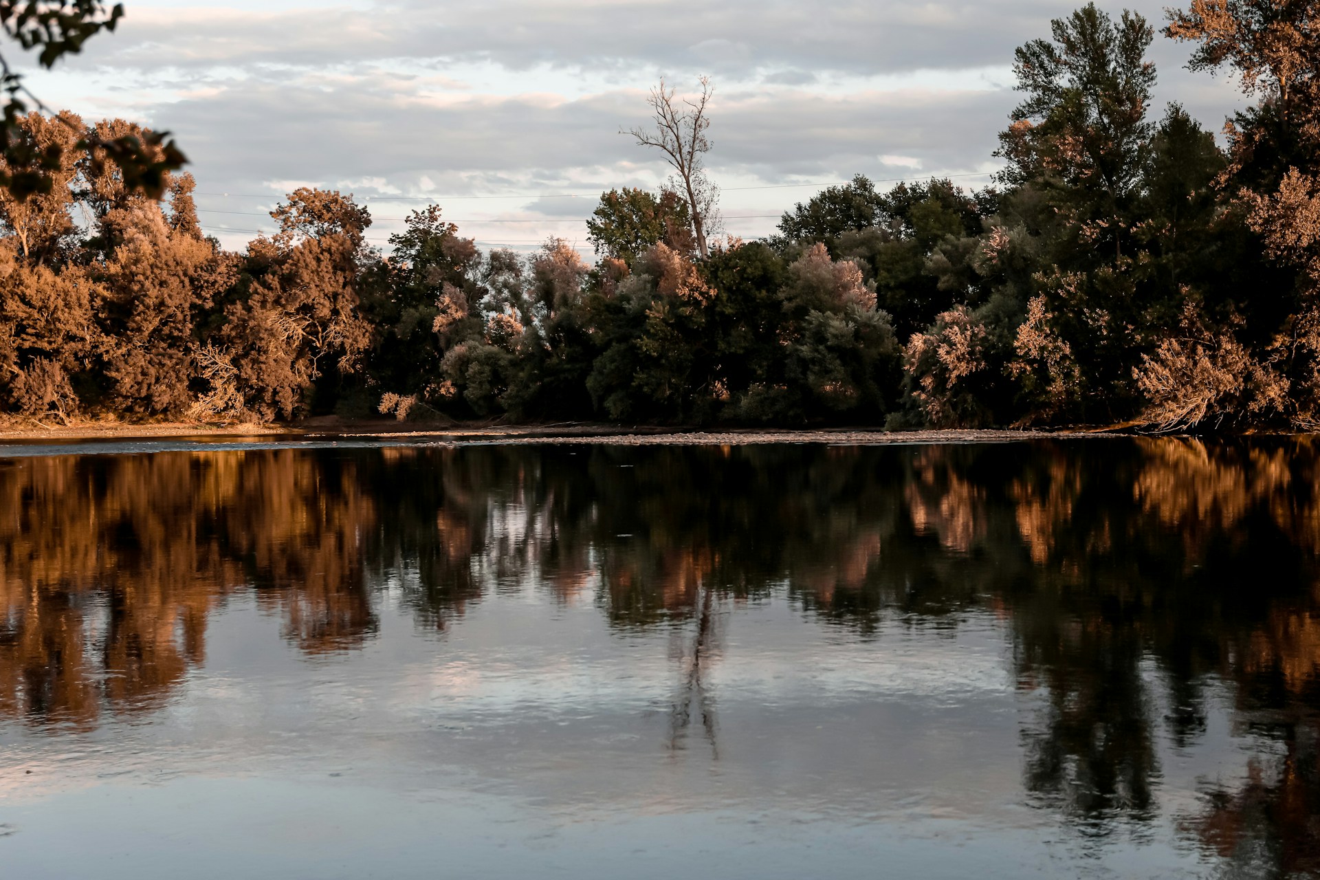 green trees beside body of water during daytime