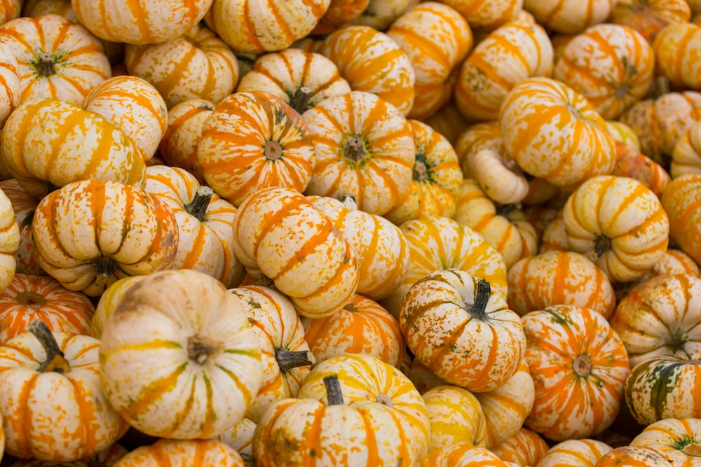 orange and white pumpkins on ground