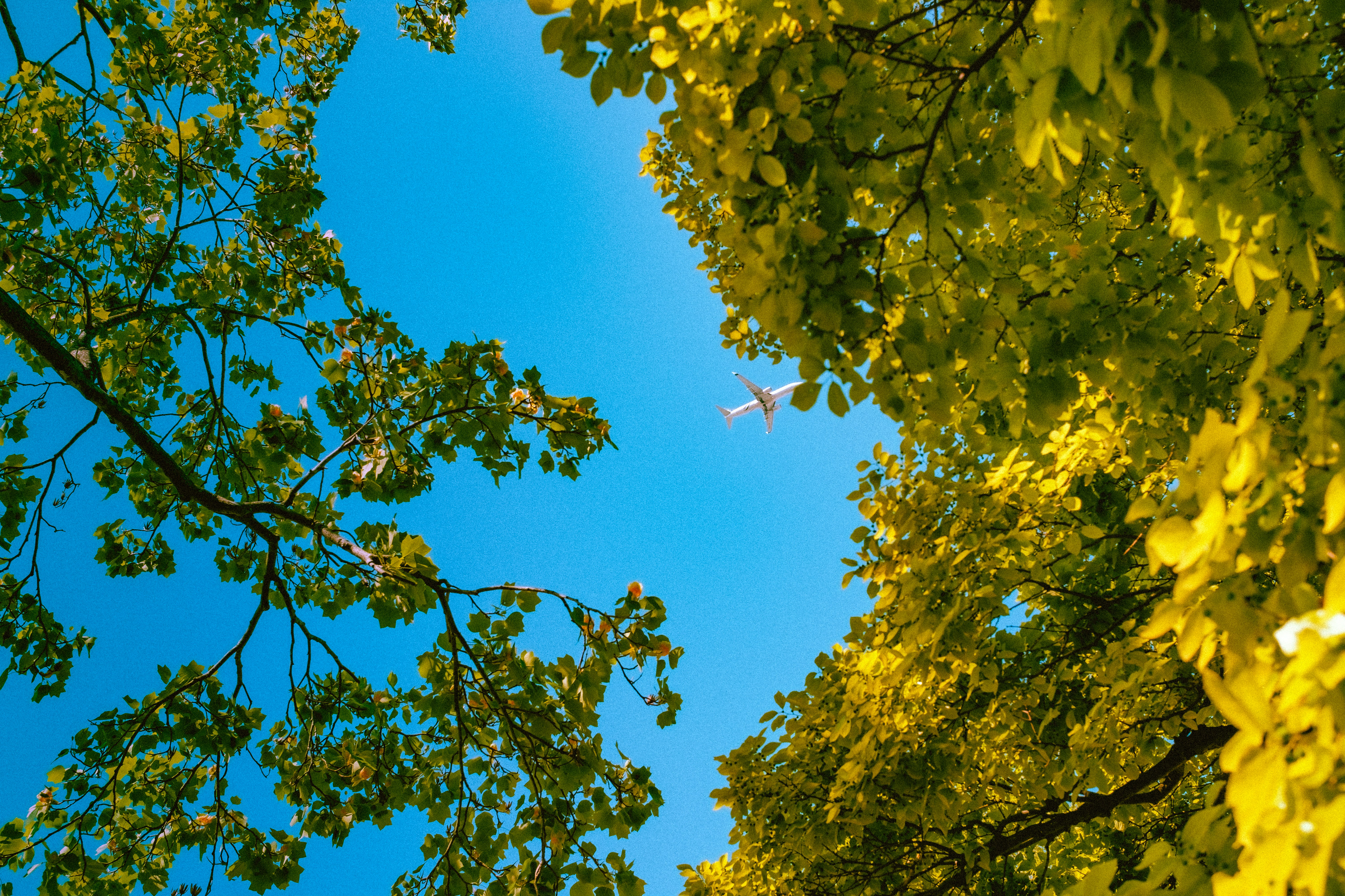 Photo by christianchen