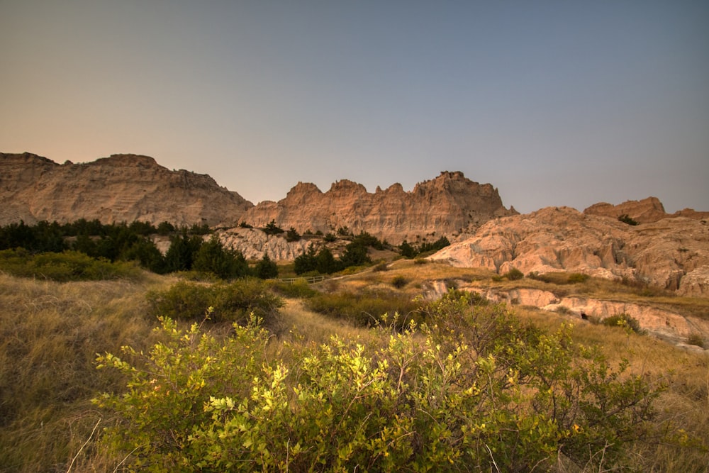 green grass near brown rock formation under blue sky during daytime