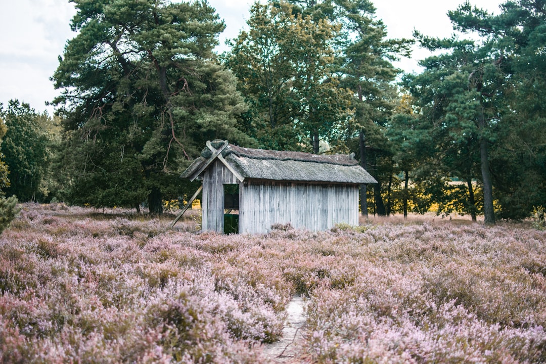 Cottage photo spot Heidschnuckenweg Planten un Blomen