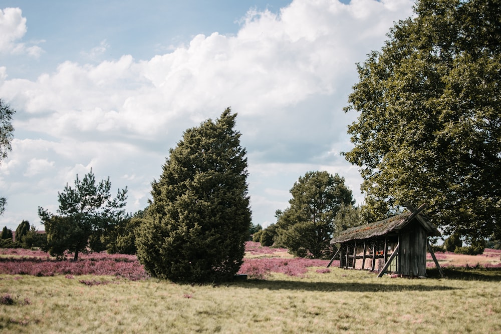 brown wooden house surrounded by green trees under white clouds during daytime