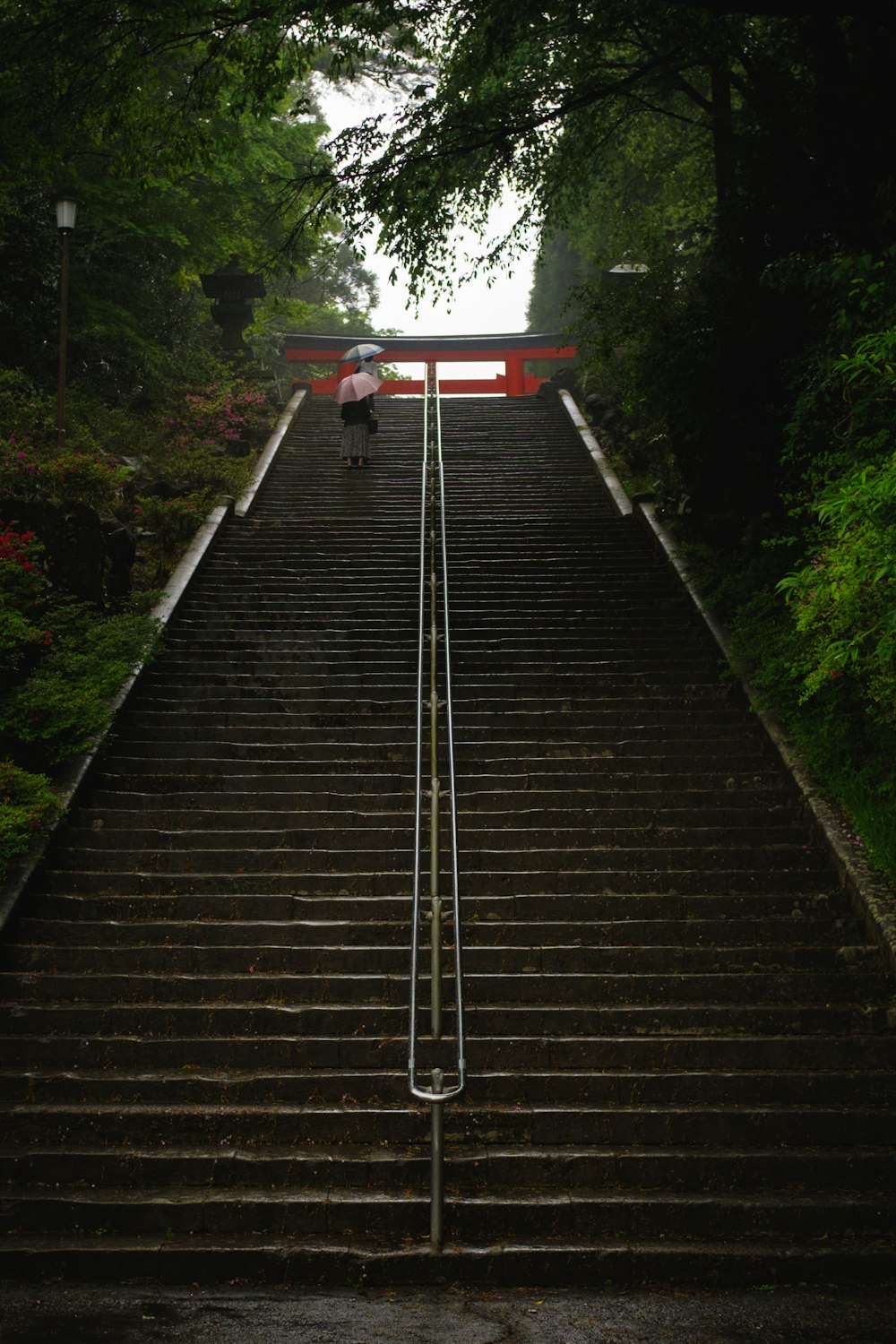 red and gray staircase between green trees