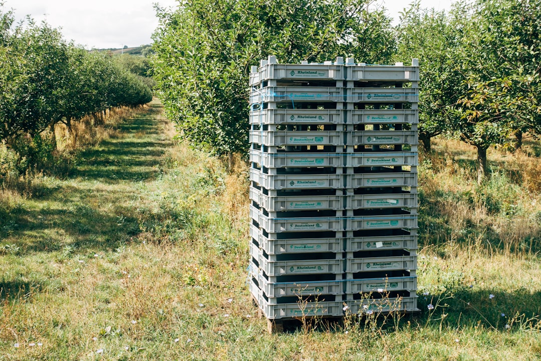 gray steel crates on green grass field during daytime