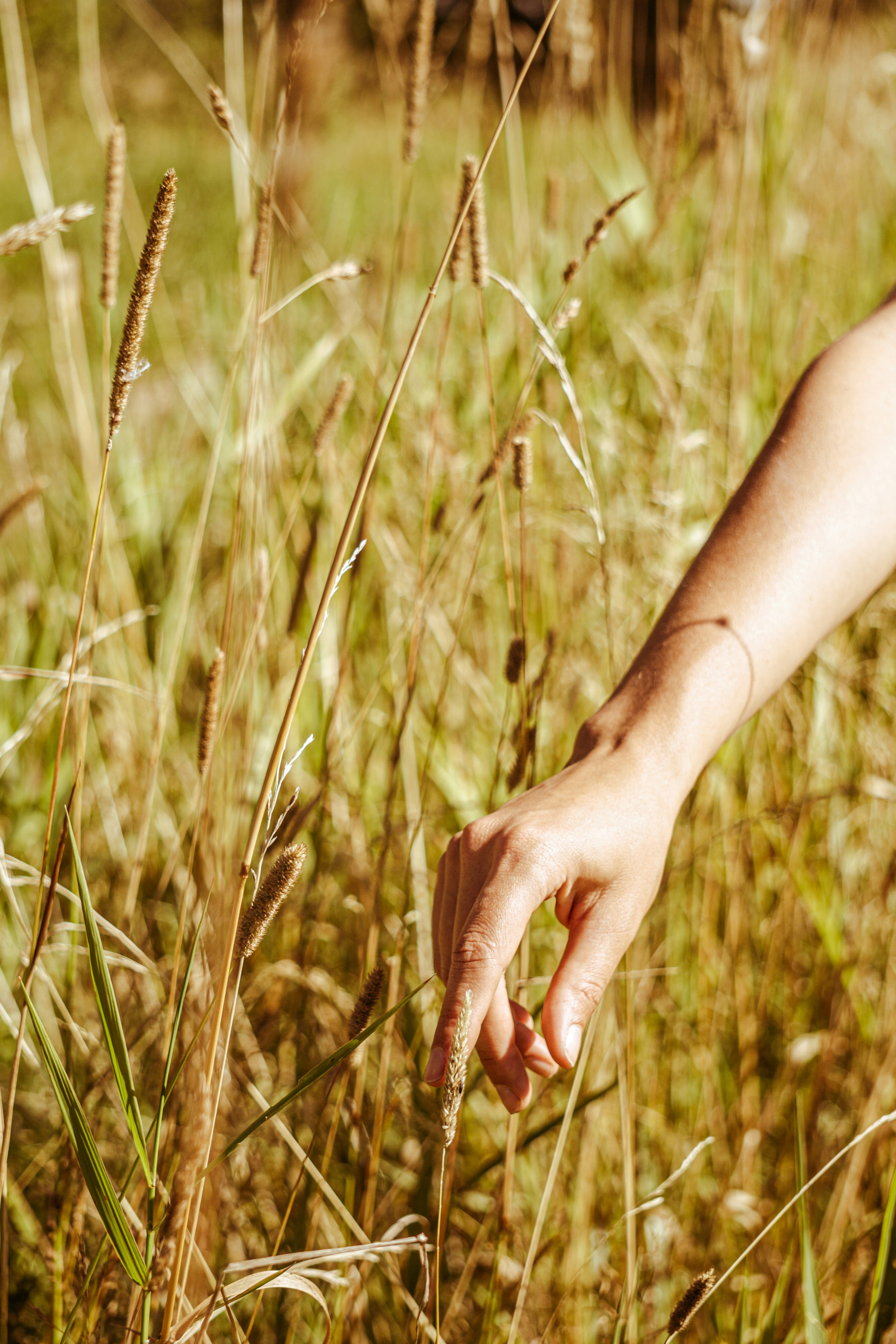 Photo by anainsomnia