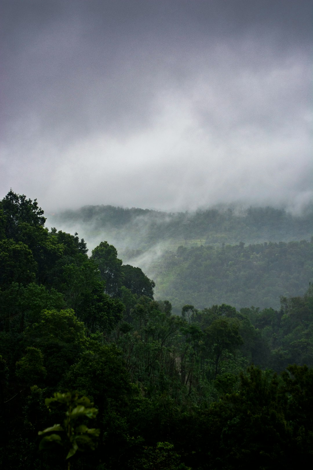 Jungle photo spot Attappadi Reserve Forest Nelliyampathy