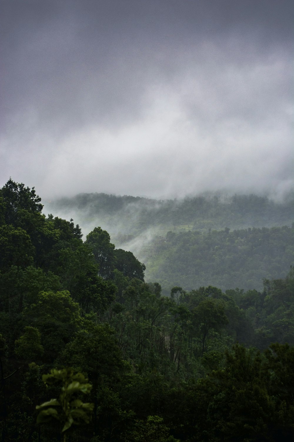 green trees on mountain under white clouds during daytime