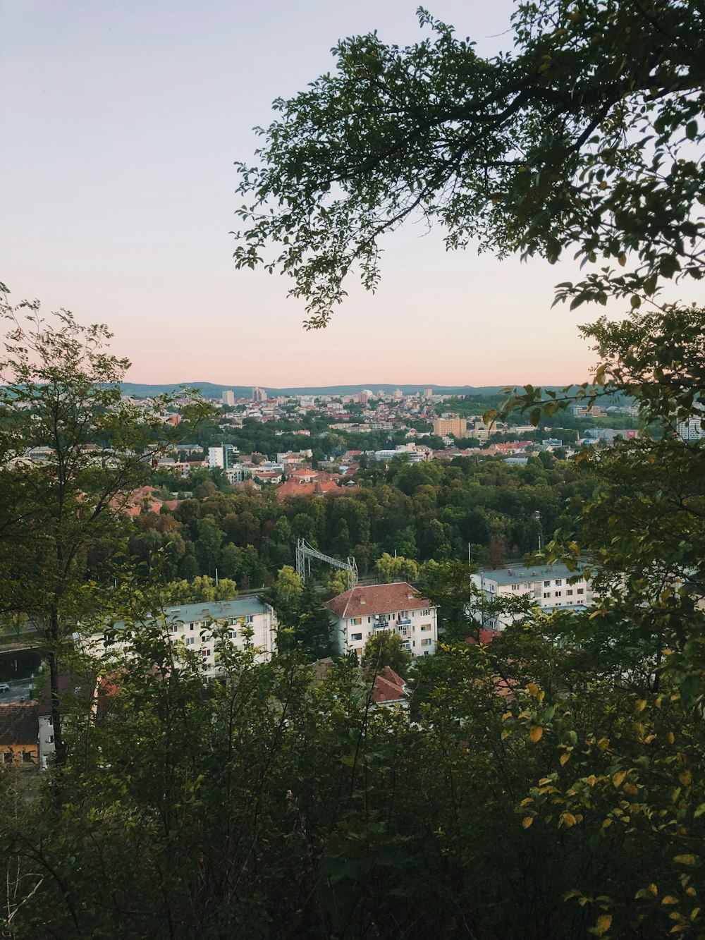 green trees and houses during daytime