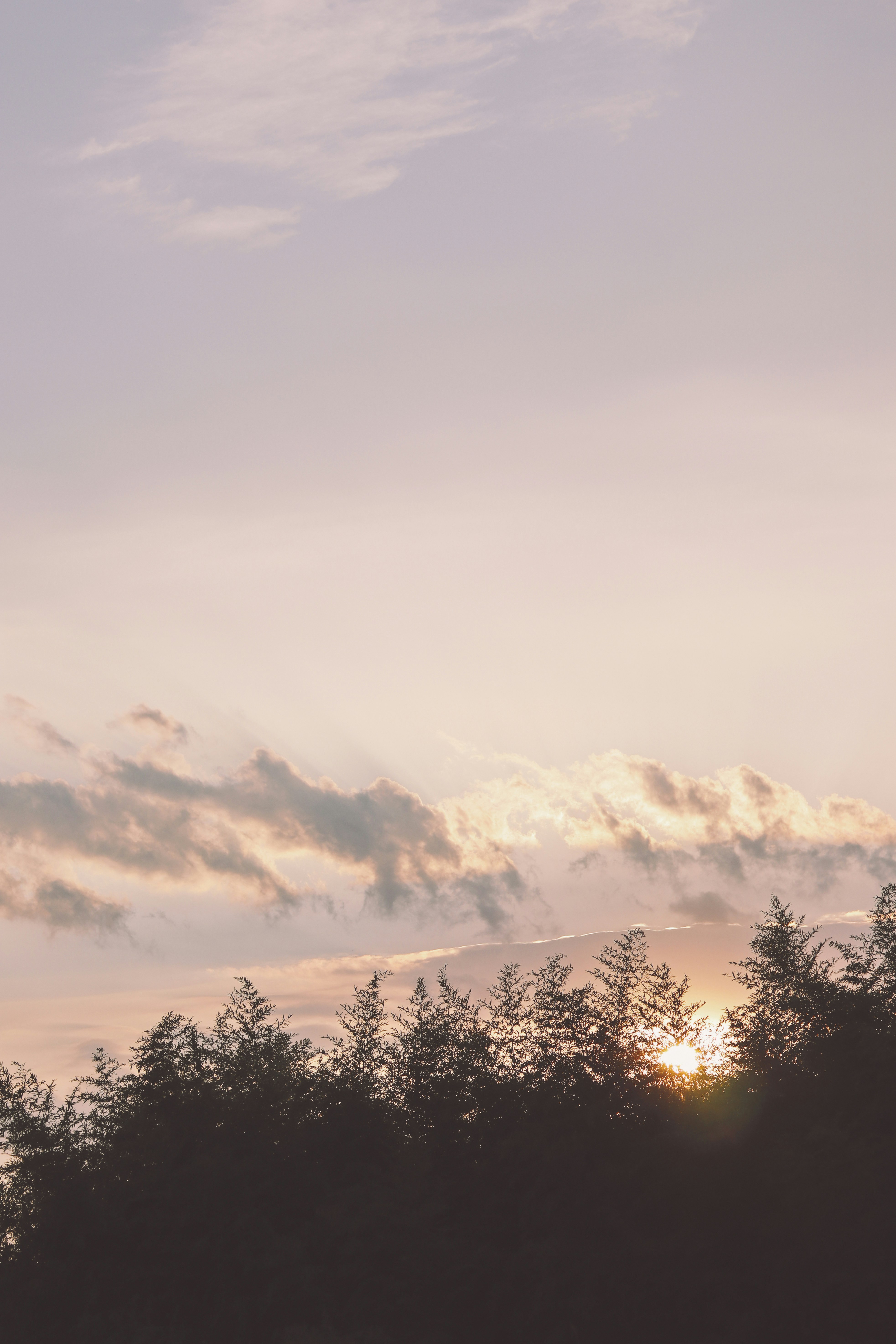 Photo by babybluecat