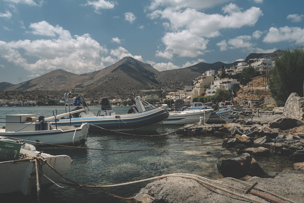 white and blue boat on shore during daytime