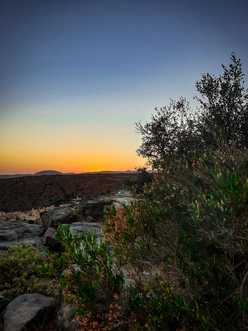 Jebel Akhdar terraces, Oman