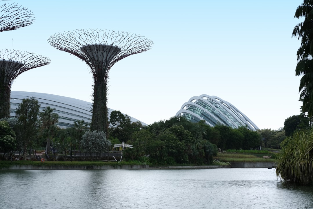 River photo spot Marina Mall Singapore Botanic Gardens