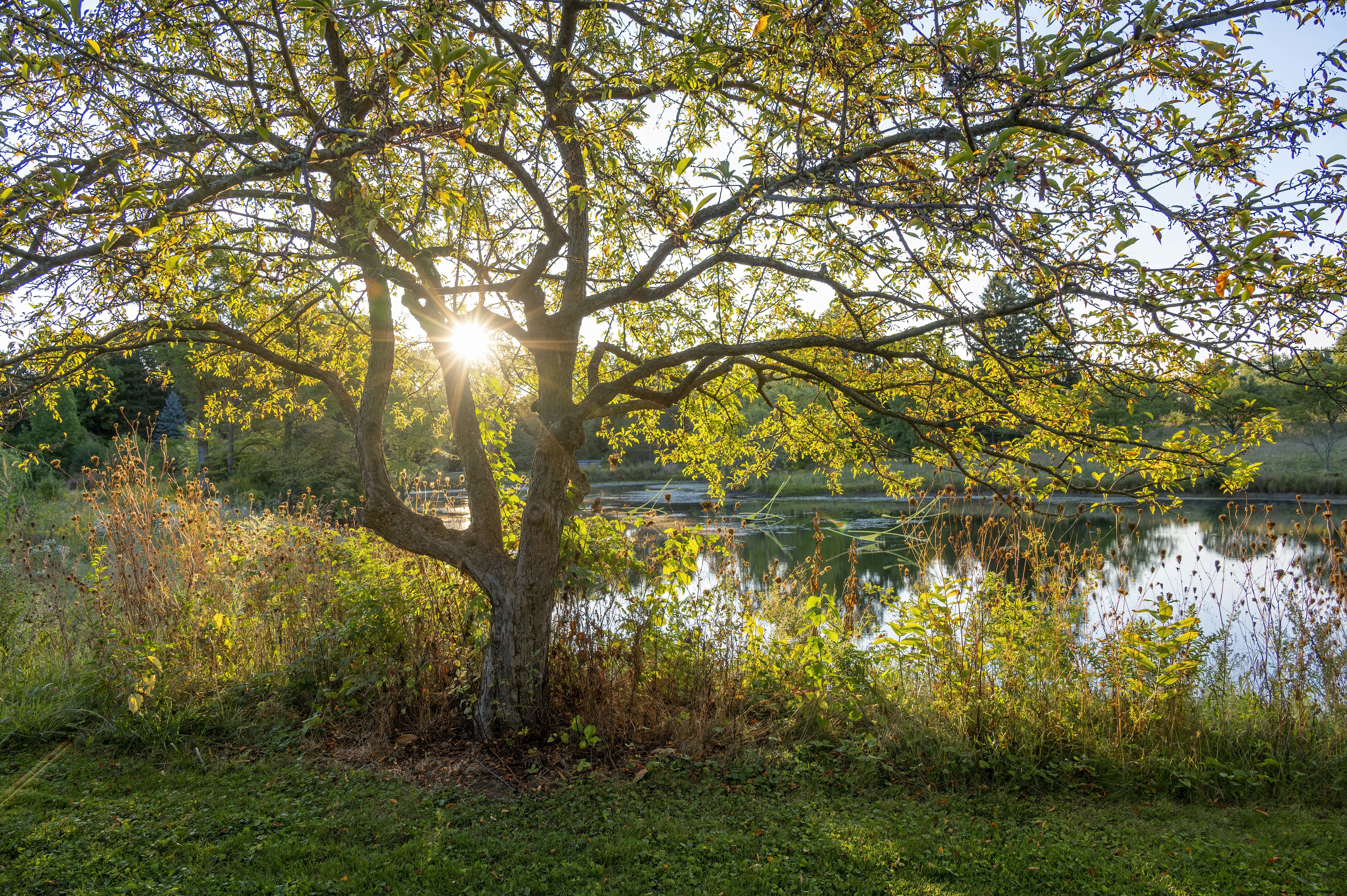 Photo by cholewinski