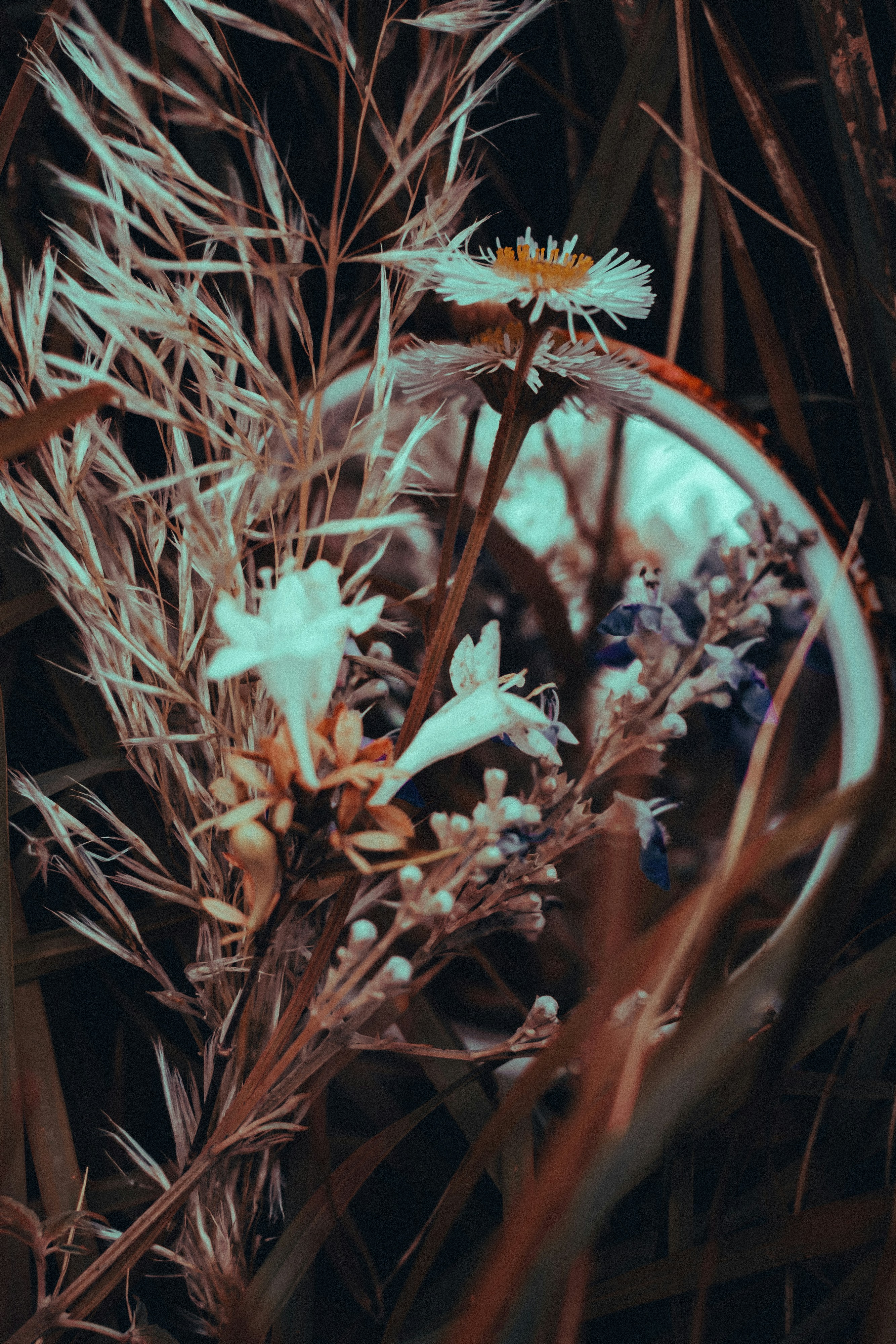 Photo by xiexianghua