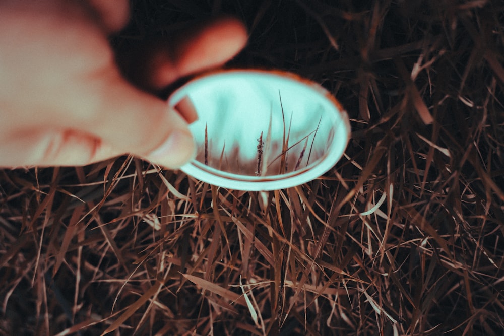 person holding white and red round ornament