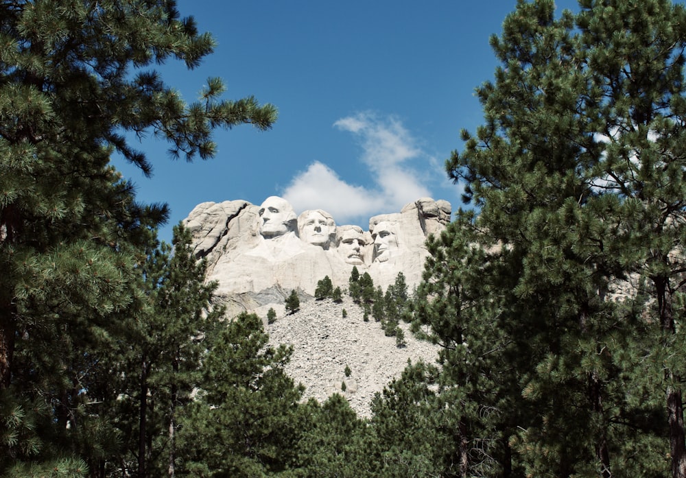 green trees near gray rock formation under blue sky during daytime