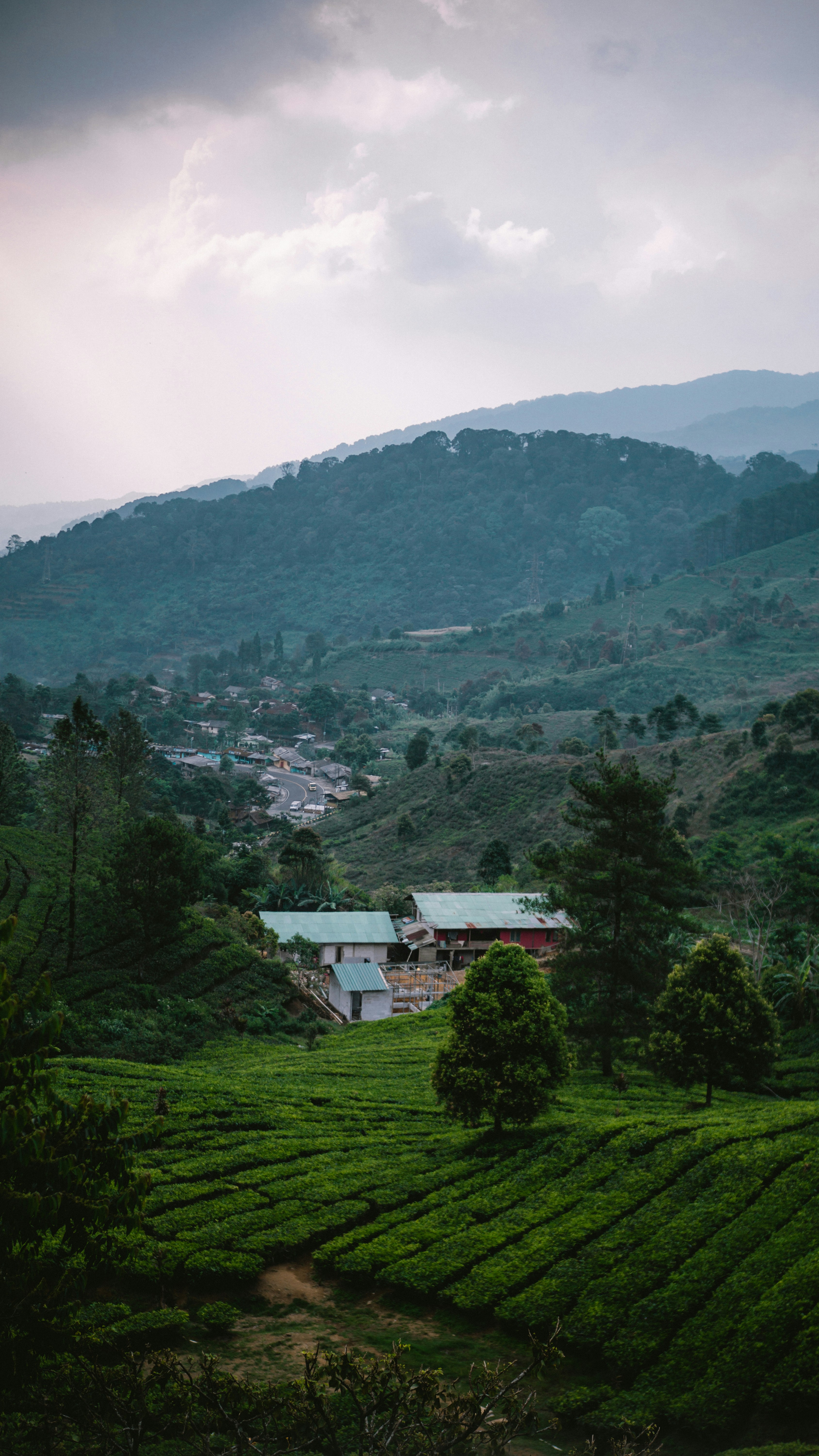 Photo by gemasaputera