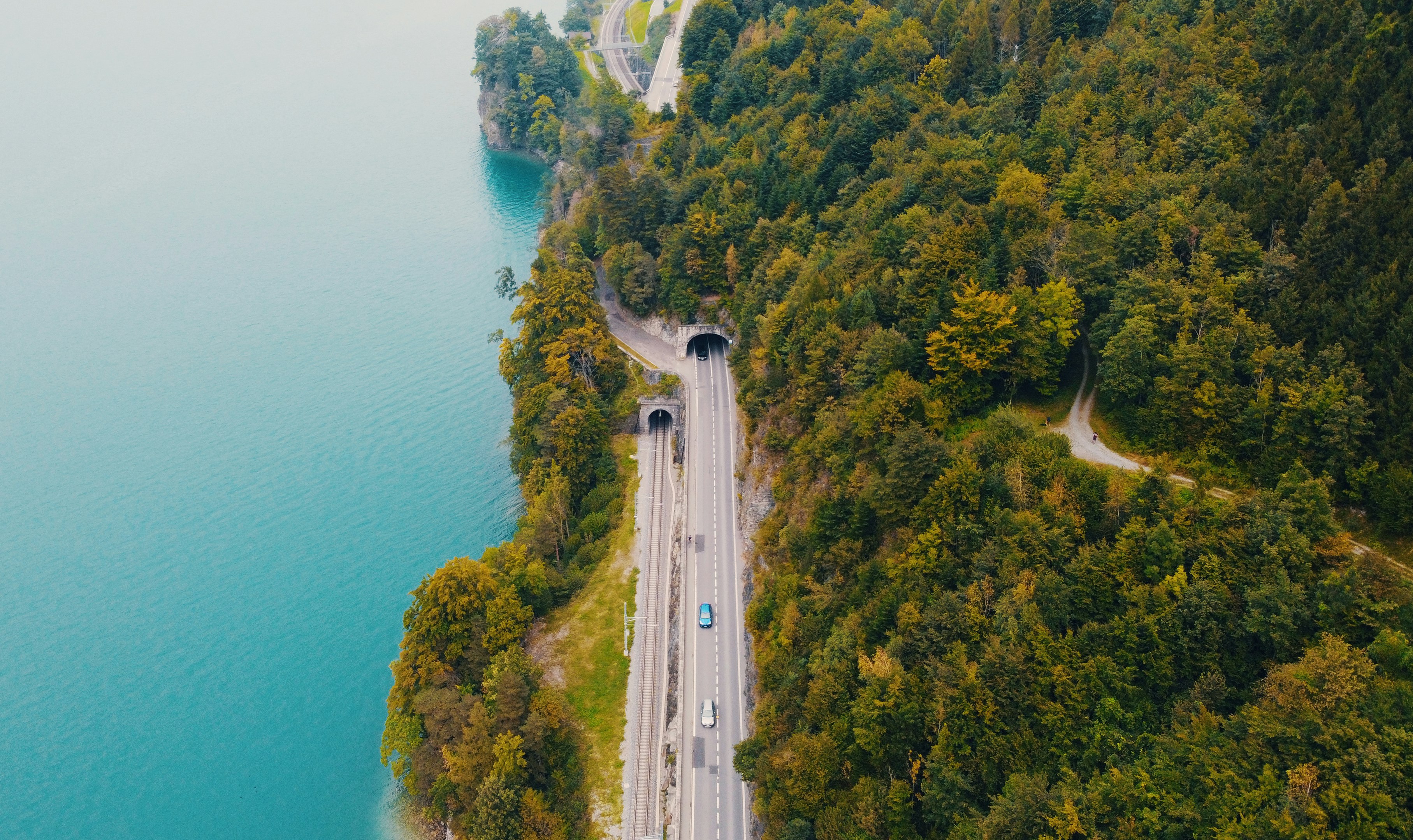 aerial view of road between green trees near body of water during daytime