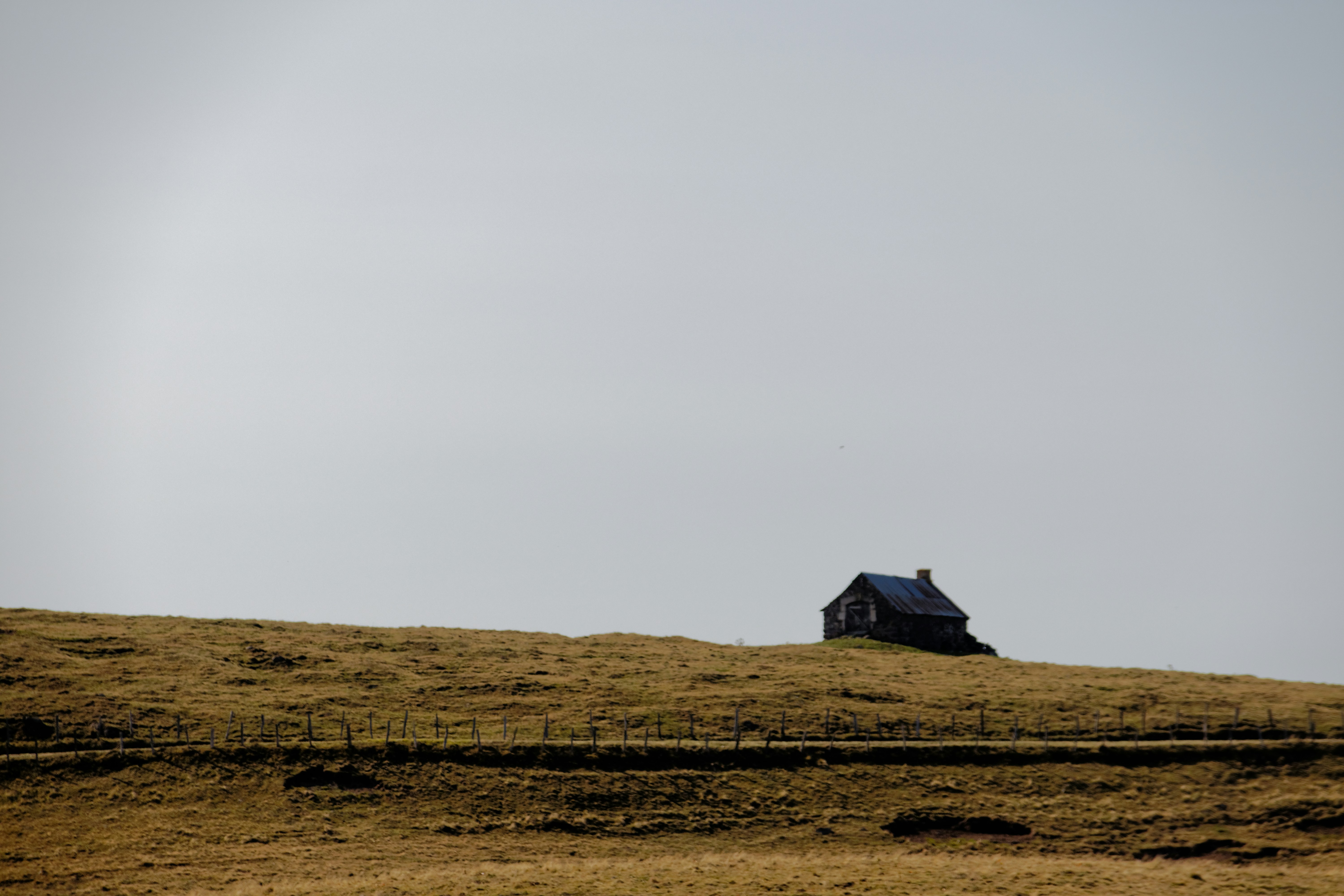 If I'm a luddite, why am I still here?