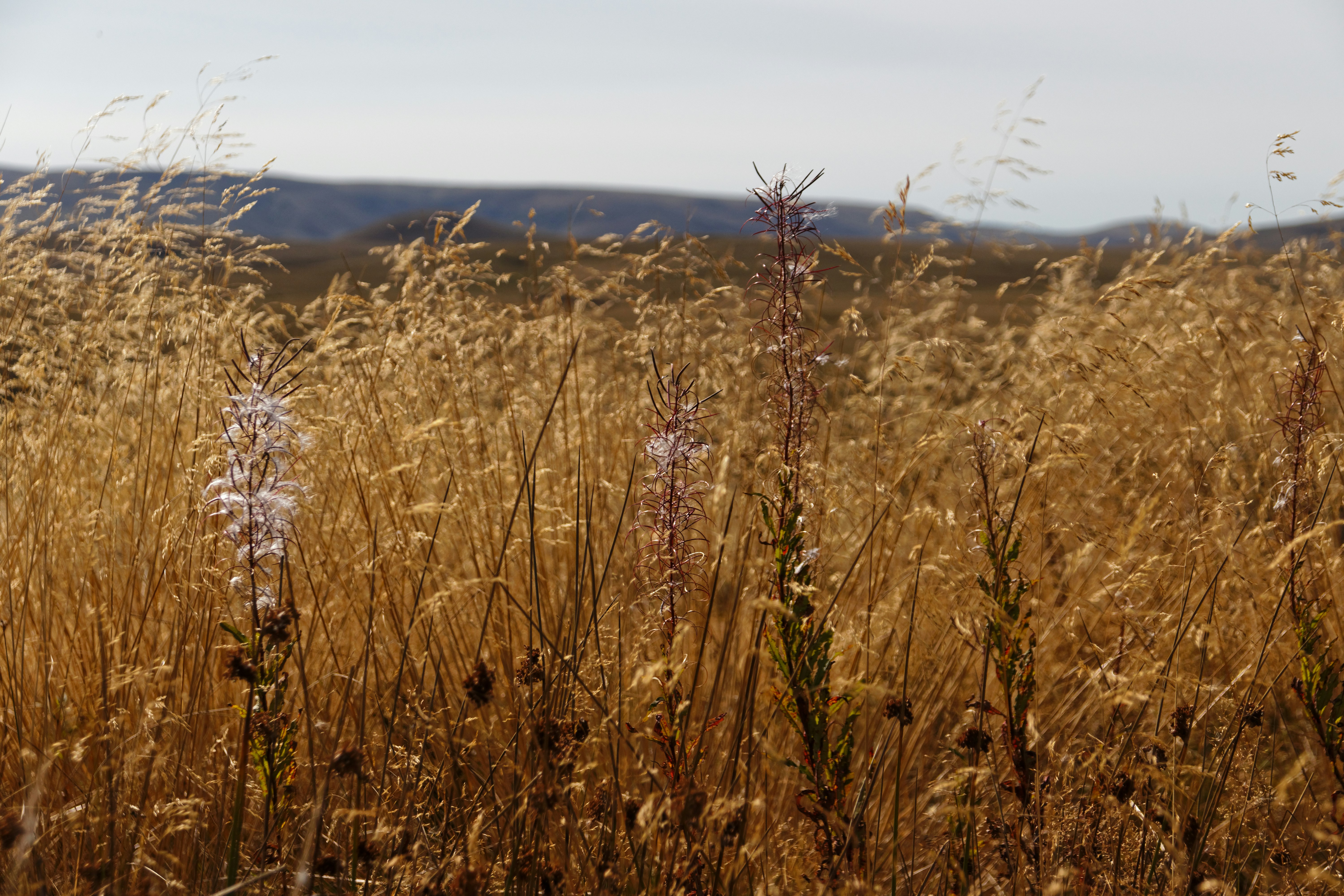 Photo by un_voyage_en_photographie