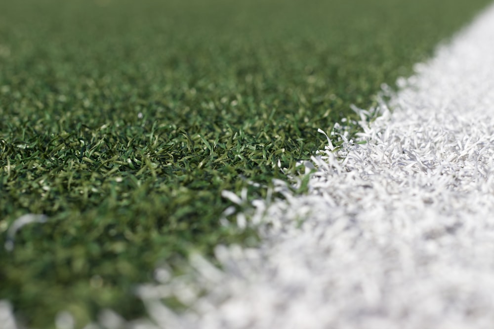 green grass field during daytime