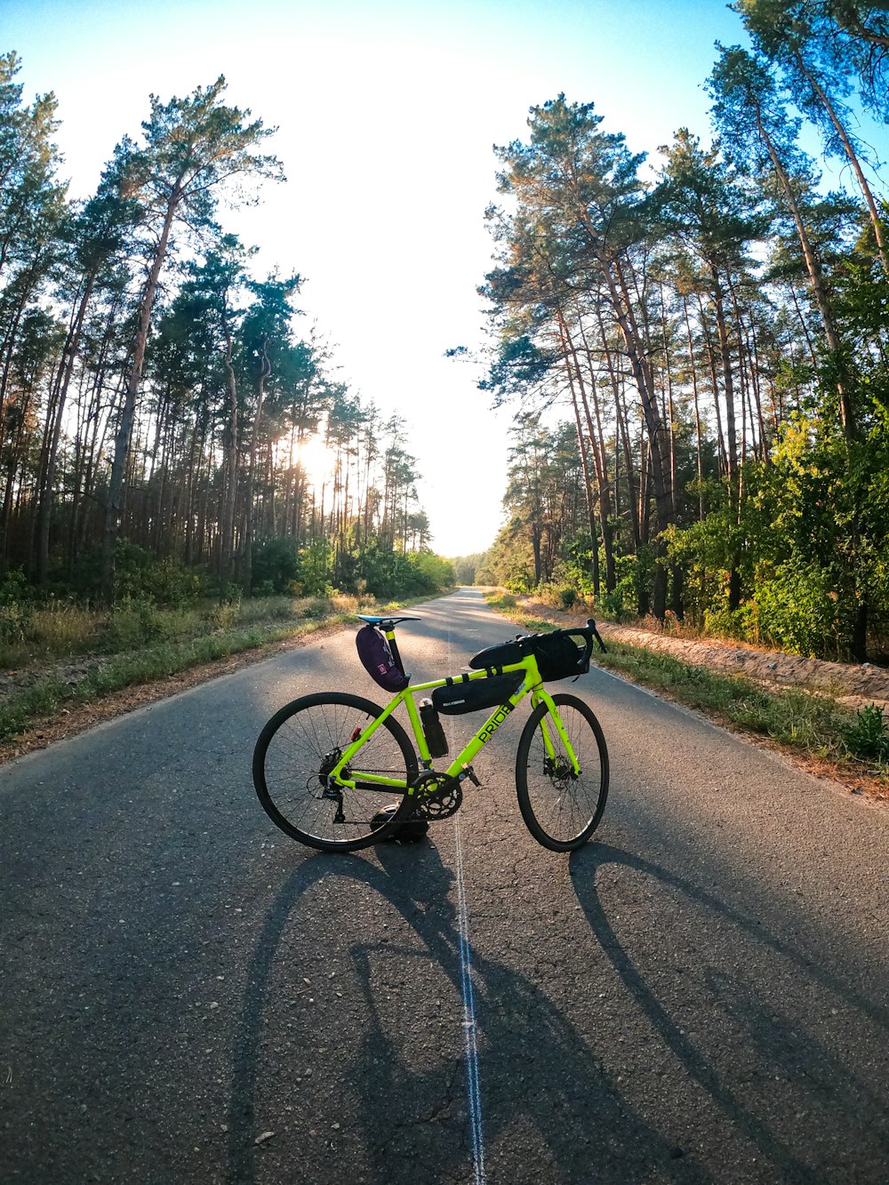 black bicycle on road between trees during daytime