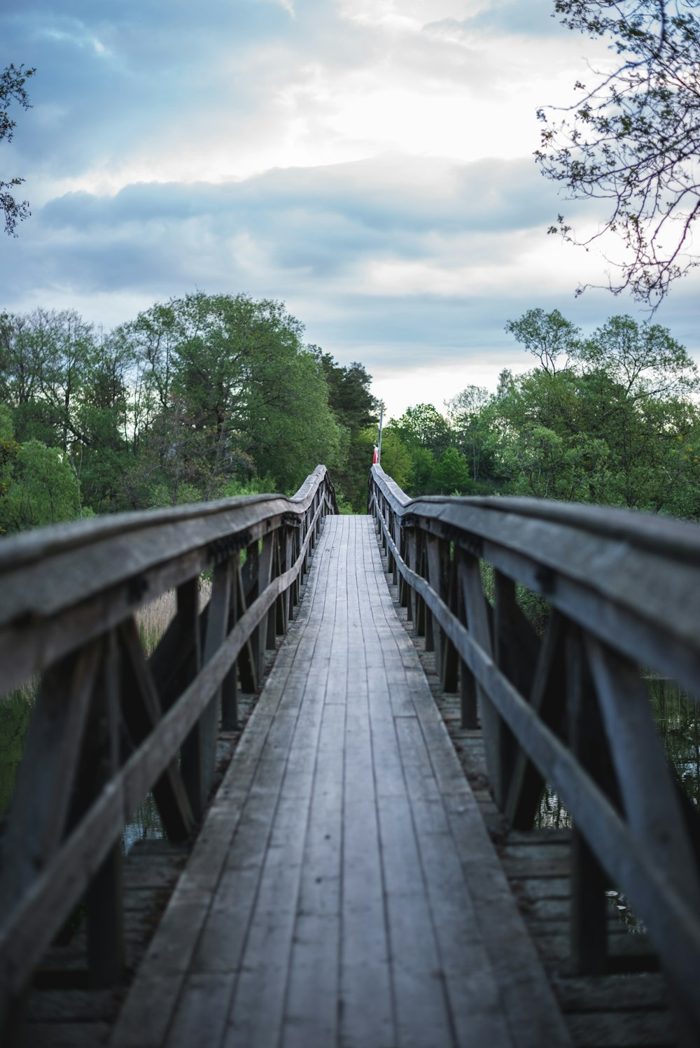 gray wooden bridge between green trees during daytime