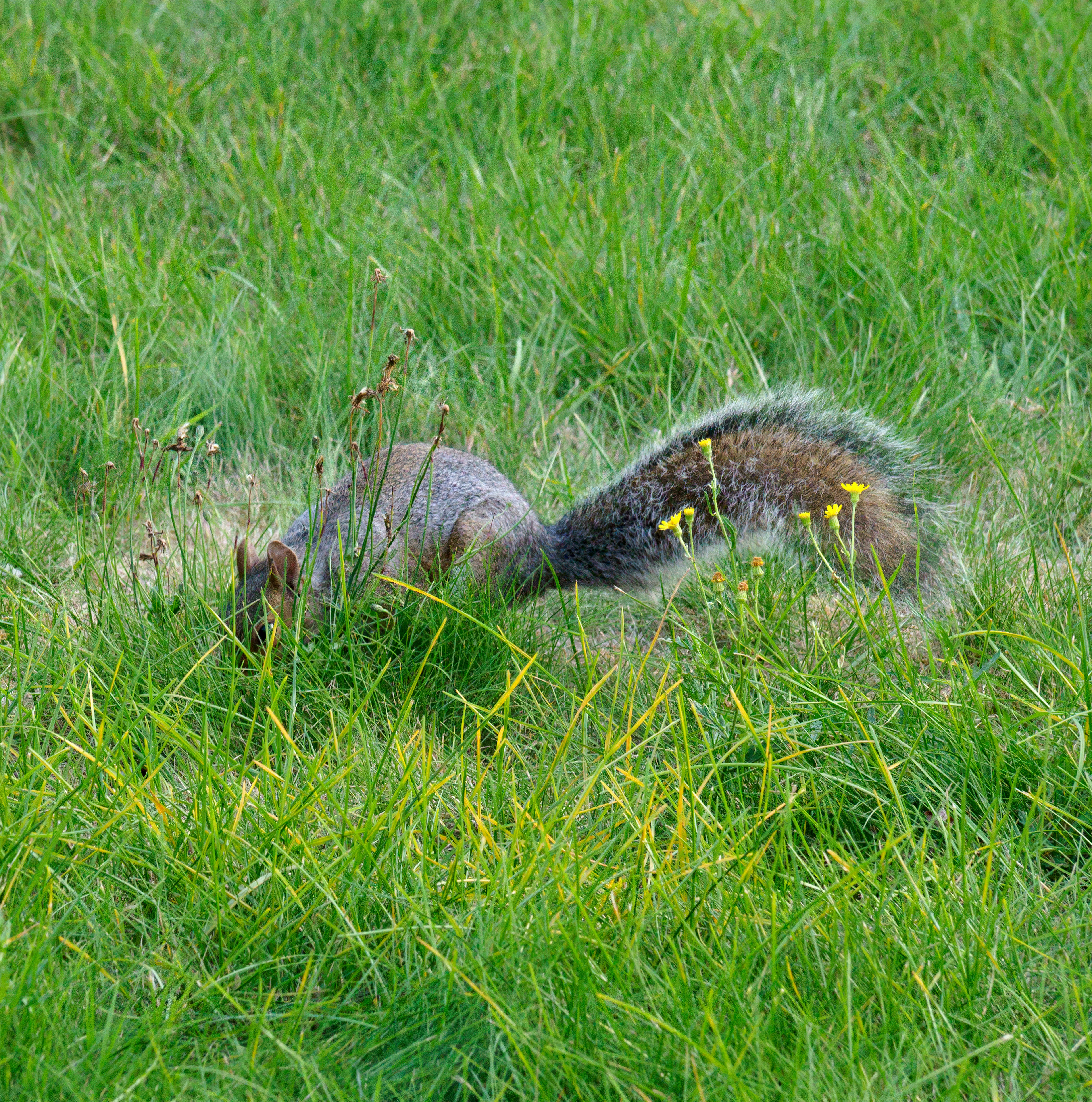 Photo by brett_jordan