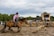 A person in a pink shirt and cowboy hat rides a horse through a muddy rodeo arena, attempting to rope a calf that is running ahead. Spectators watch from a wooden viewing stand in the background, while trees and cloudy skies create a rustic setting.