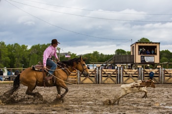 A person in a pink shirt and cowboy hat rides a horse through a muddy rodeo arena, attempting to rope a calf that is running ahead. Spectators watch from a wooden viewing stand in the background, while trees and cloudy skies create a rustic setting.