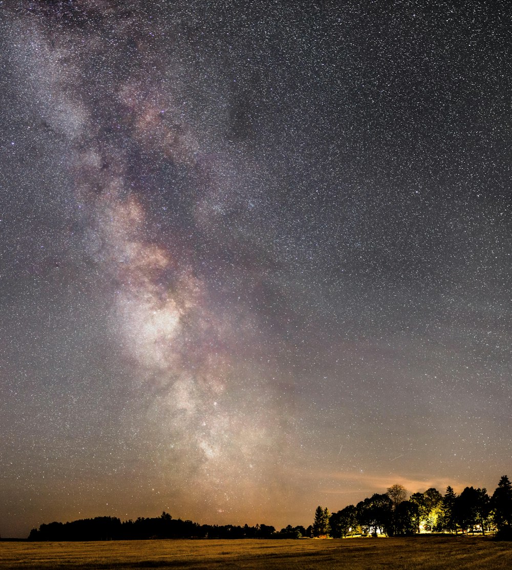 夜の青空に映える緑の木々