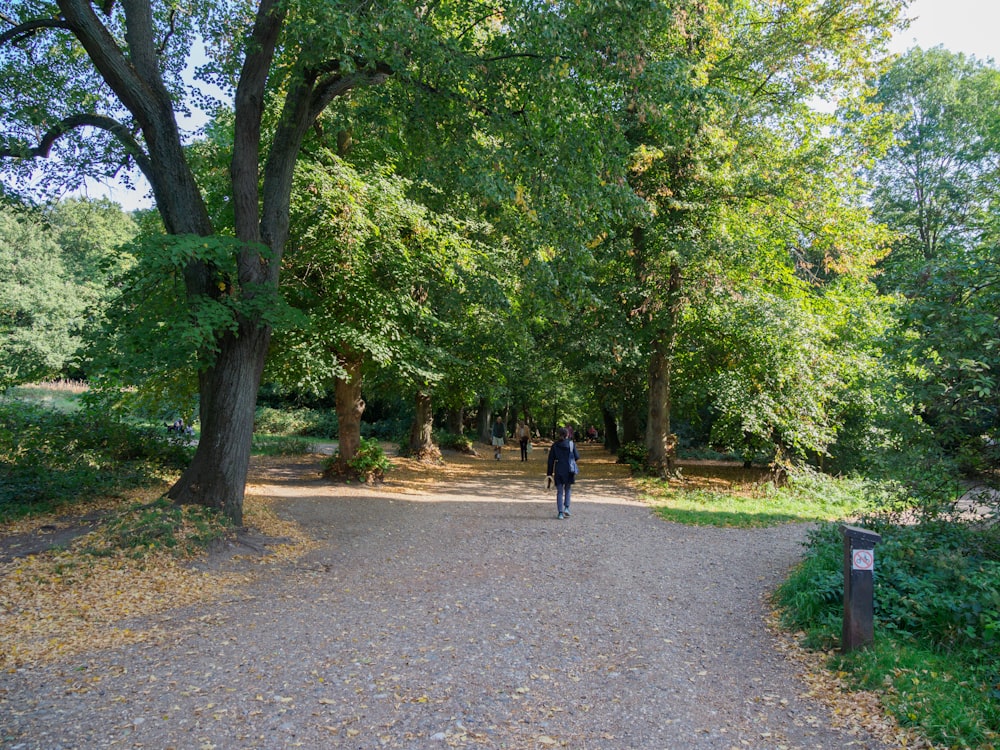 person in black jacket walking on pathway between green trees during daytime