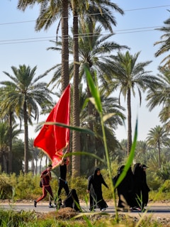 A group of people, including women in black attire, walk along a road surrounded by tall palm trees. One individual carries a large red flag that billows in the breeze. The setting appears to be a lush, green landscape with clear blue skies overhead.