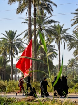 A group of people, including women in black attire, walk along a road surrounded by tall palm trees. One individual carries a large red flag that billows in the breeze. The setting appears to be a lush, green landscape with clear blue skies overhead.
